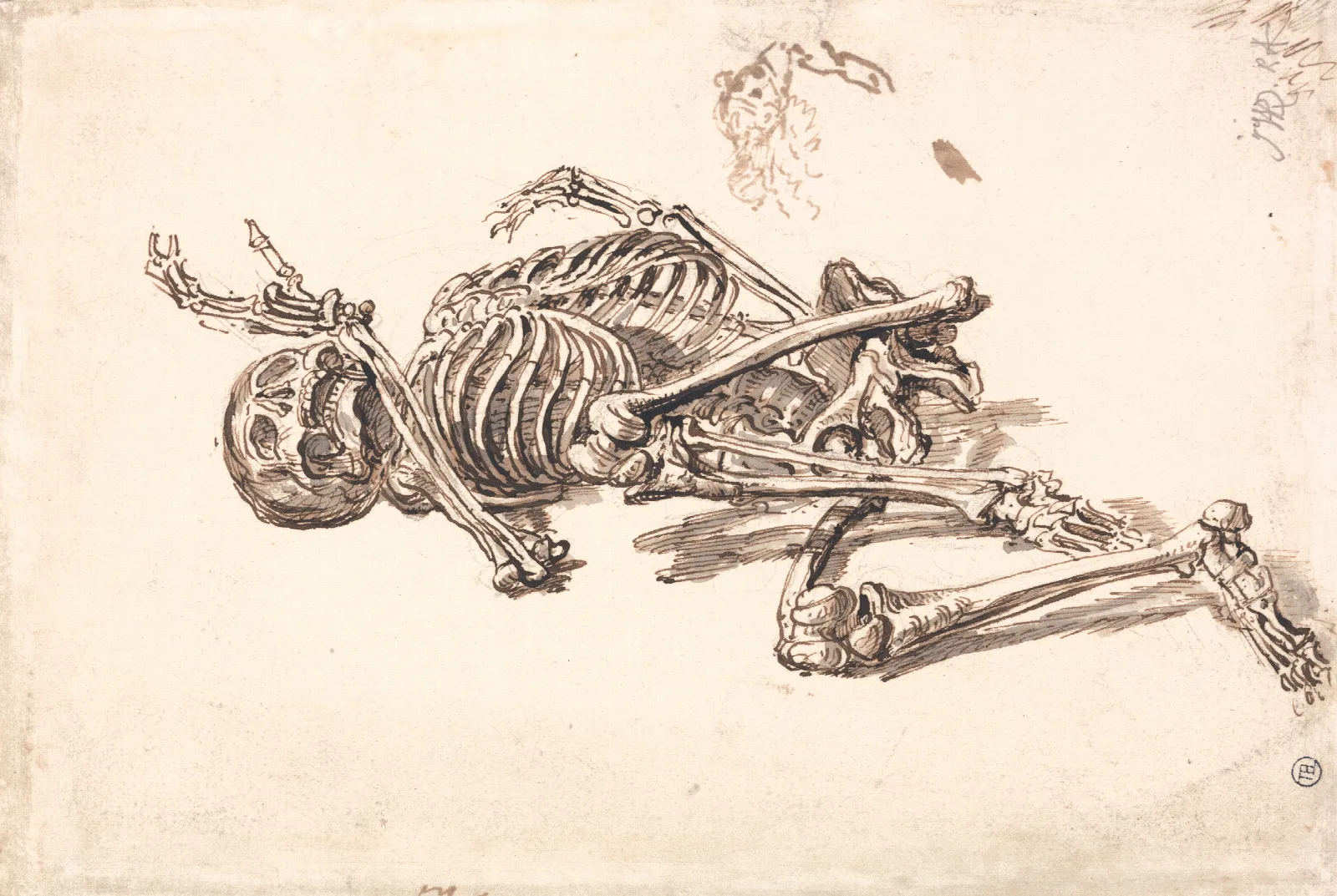 A Human Skeleton Wall Art by James Ward - Canvas Print