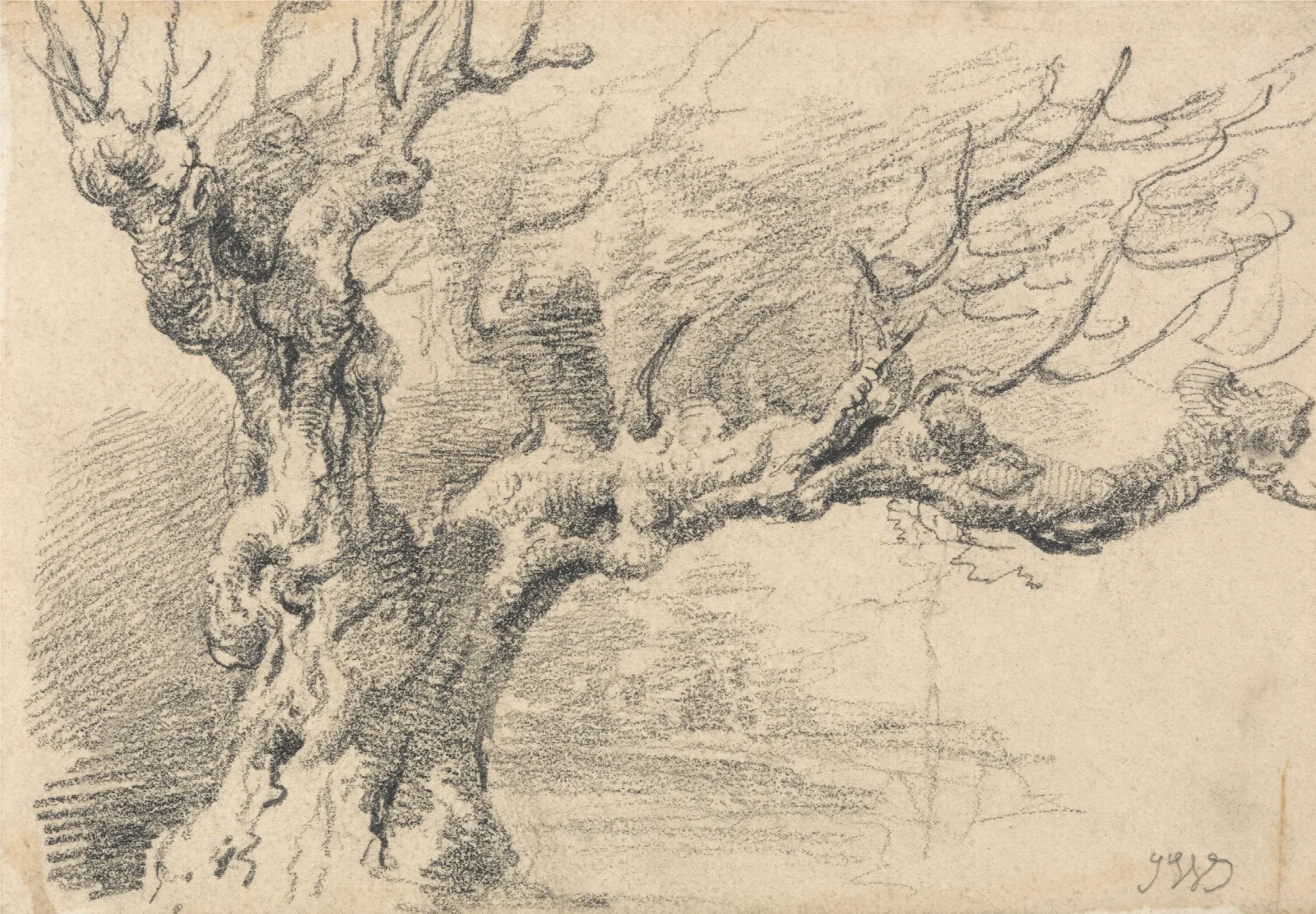 An Old Oak Tree Wall Art by James Ward - Canvas Print