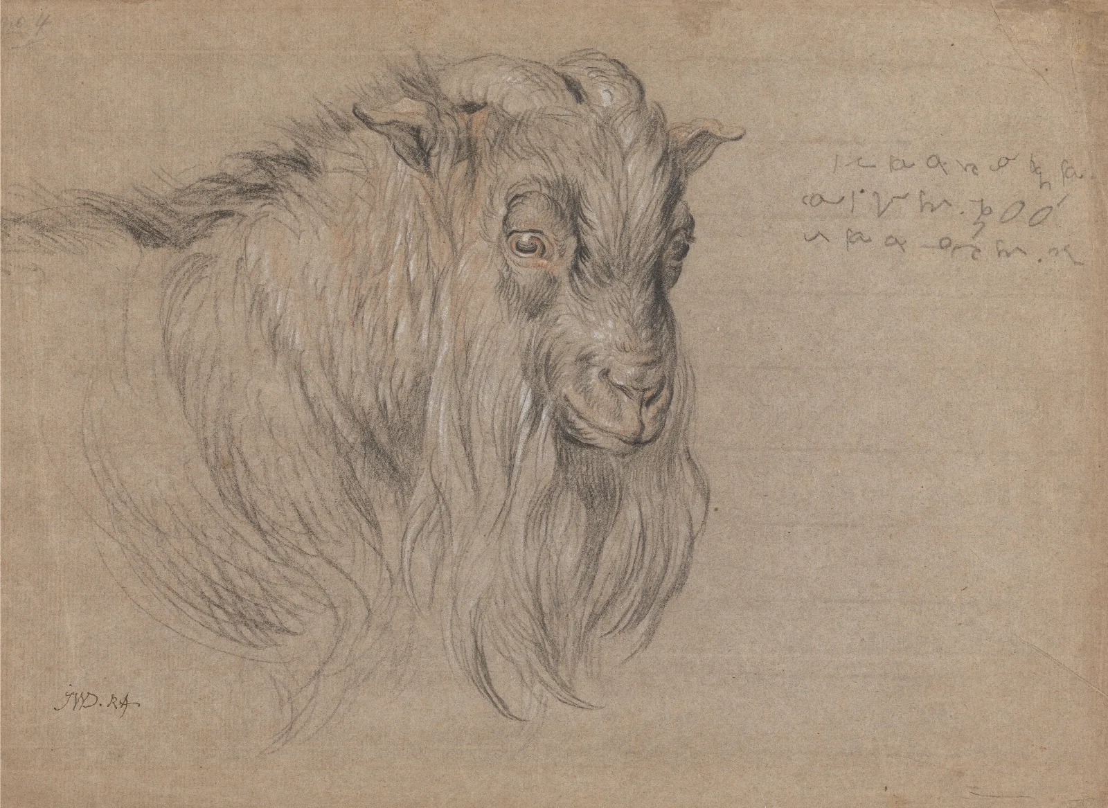 Study Of The Head Of A Ram Wall Art by James Ward - Canvas Print