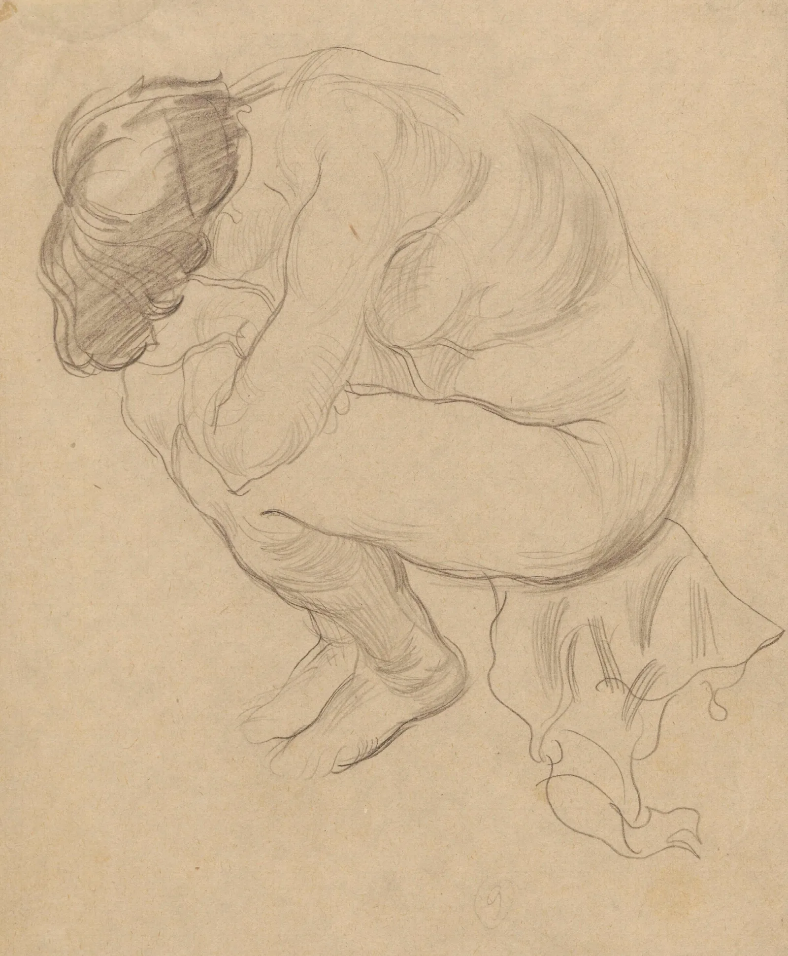 Study Of A Female Nude 8 Wall Art by Zygmunt Waliszewski - Canvas Print