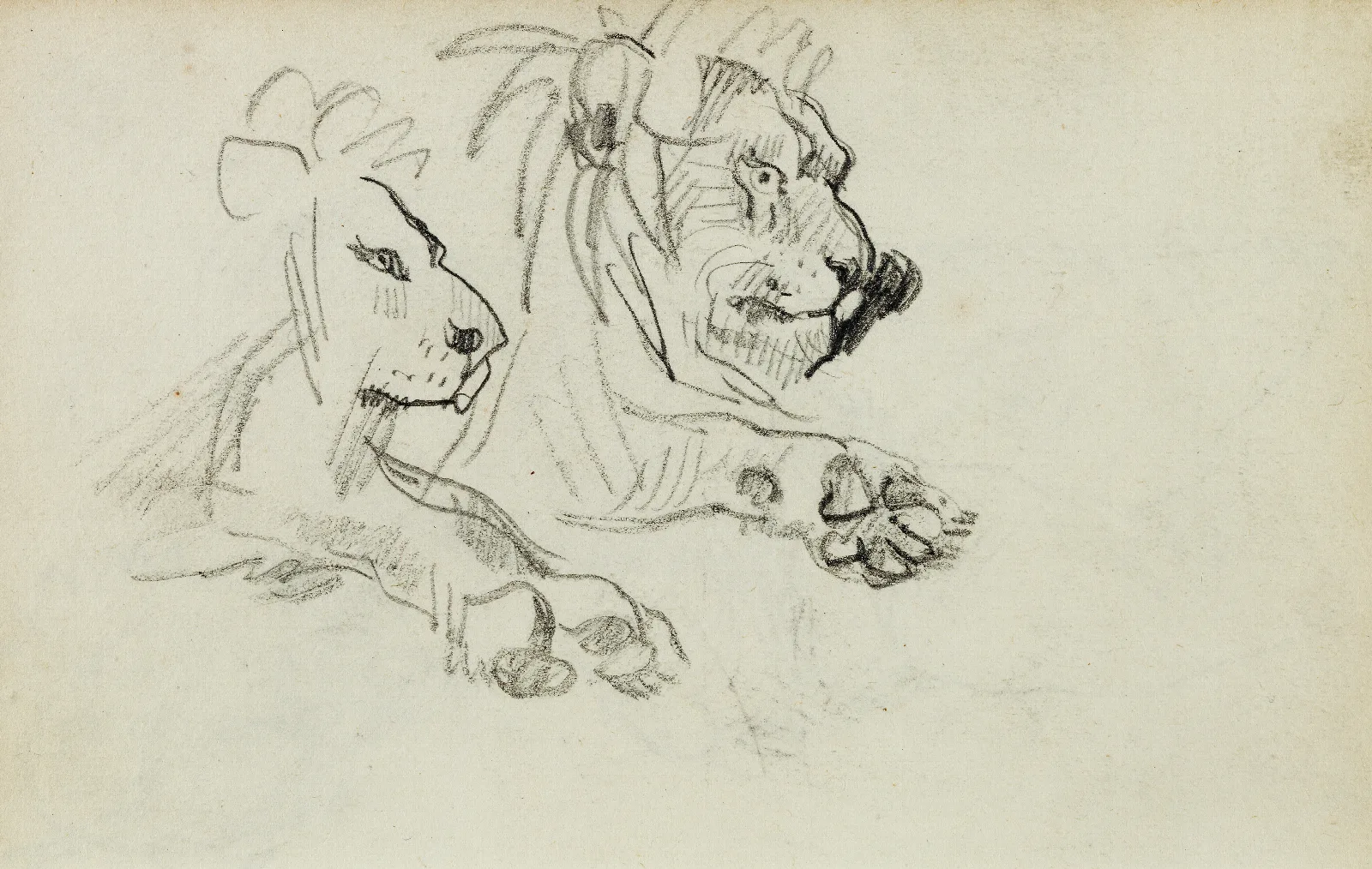 Two Lion Studies Wall Art by Théodore Géricault - Canvas Print