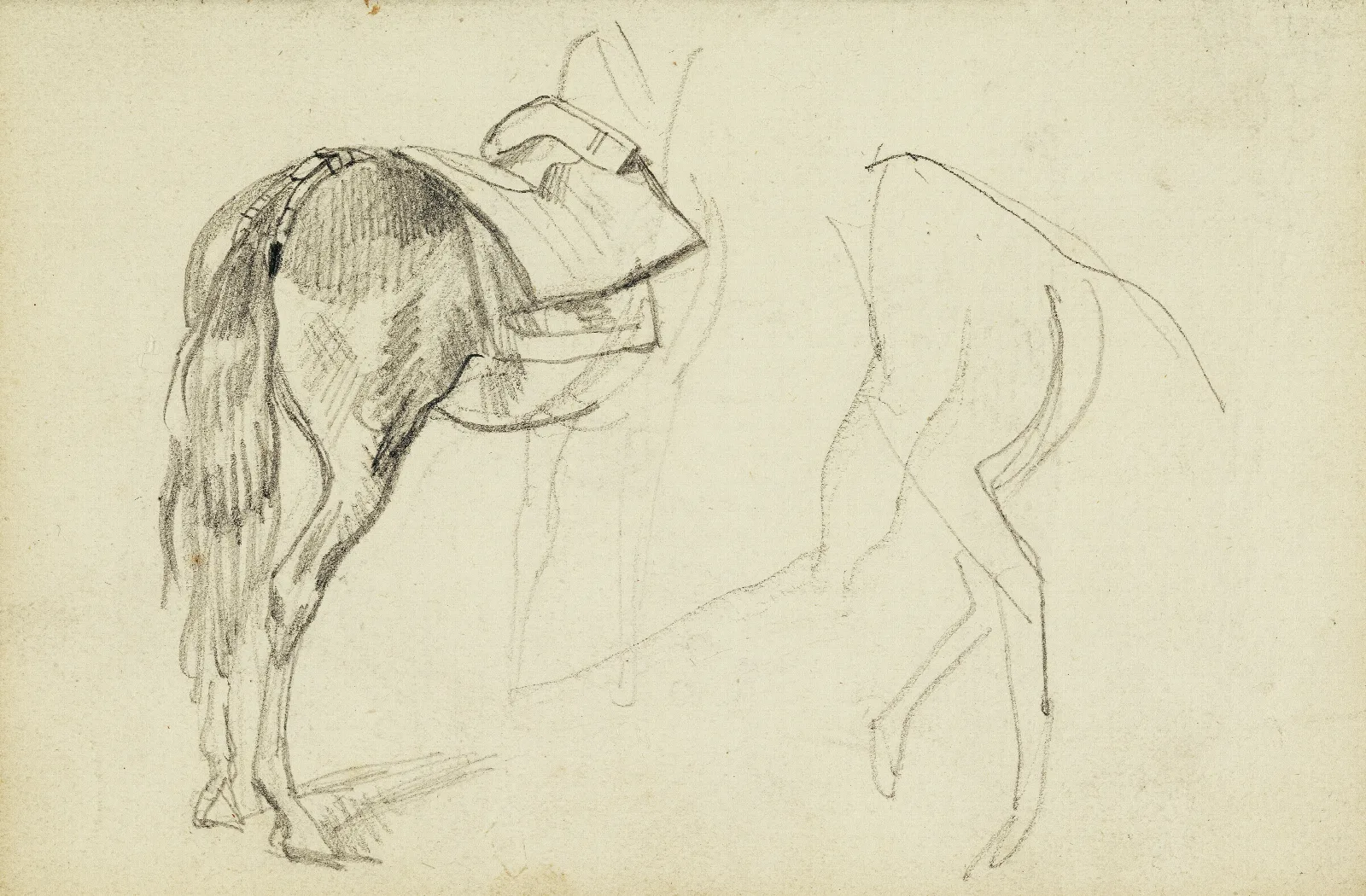Horse Studies 3 Wall Art by Théodore Géricault - Canvas Print