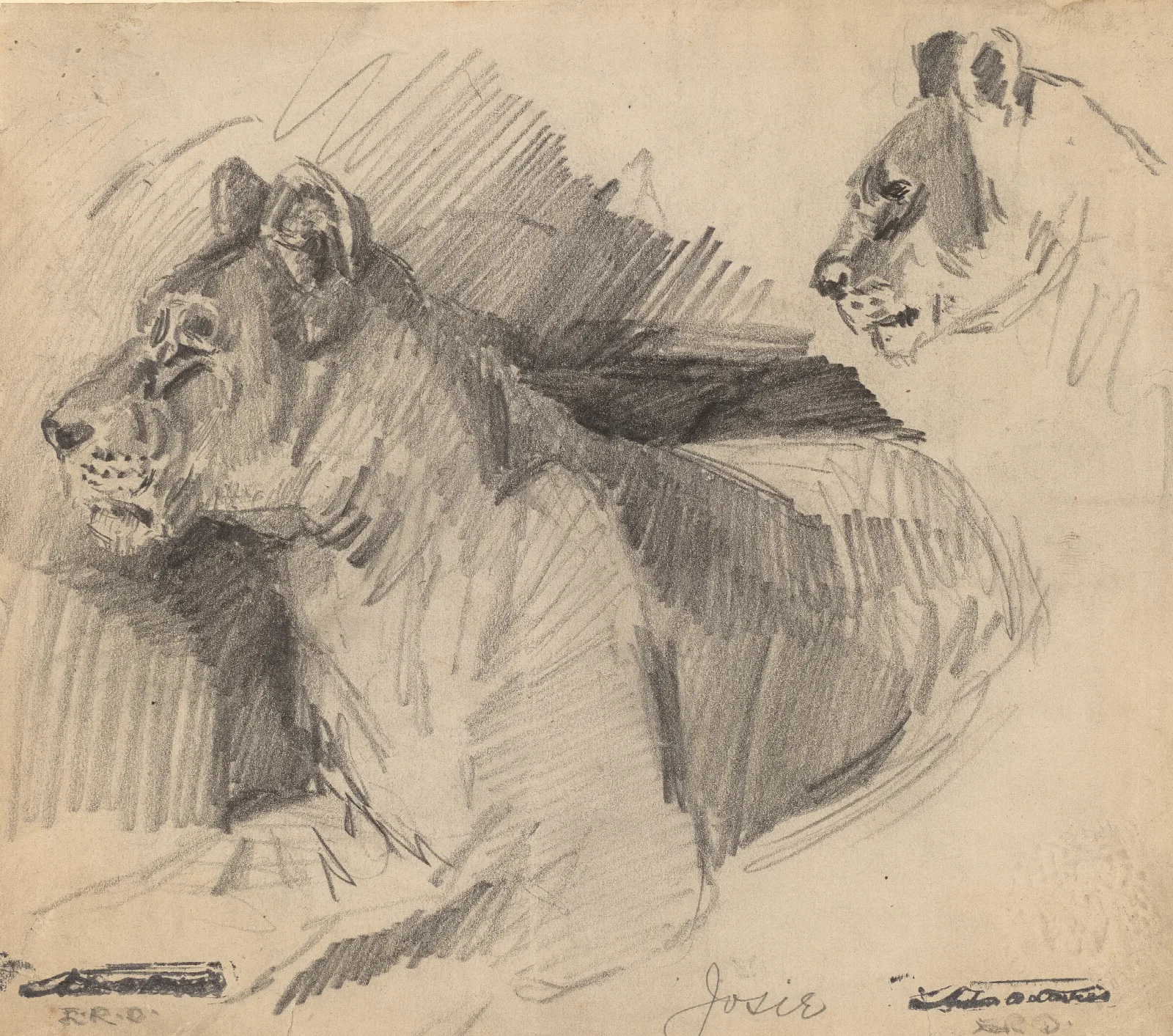 Josie Wall Art by Arthur Bowen Davies - Canvas Print