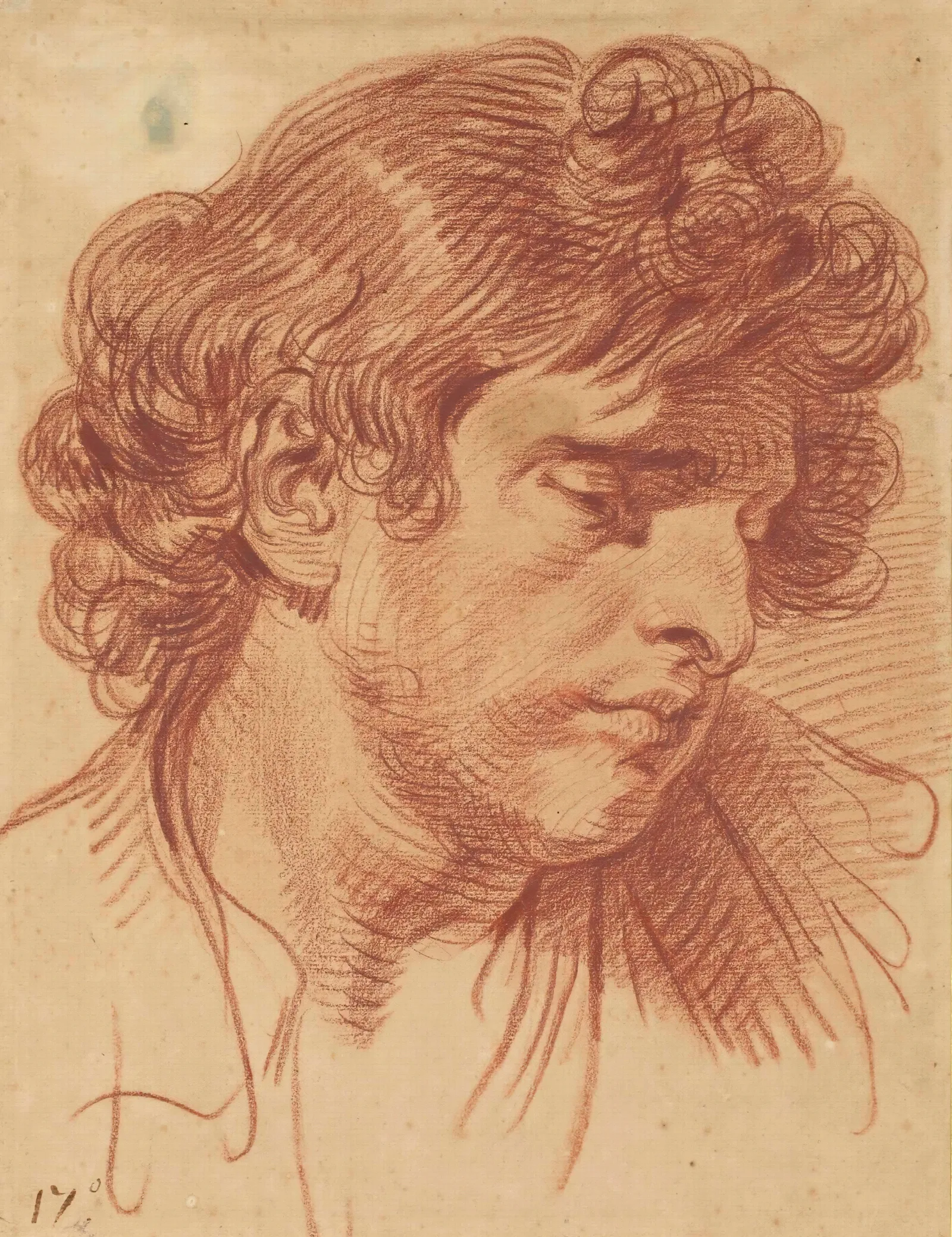 Tete Dhomme Aux Cheveux Boucles Wall Art by Jean-Baptiste Greuze - Canvas Print