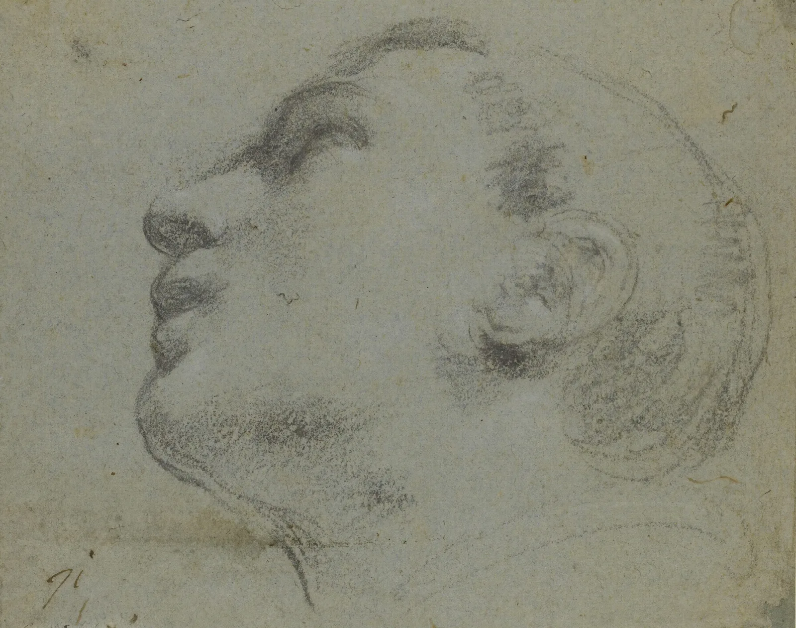 The Head Of A Man Turned To The Left Wall Art by Guercino - Canvas Print