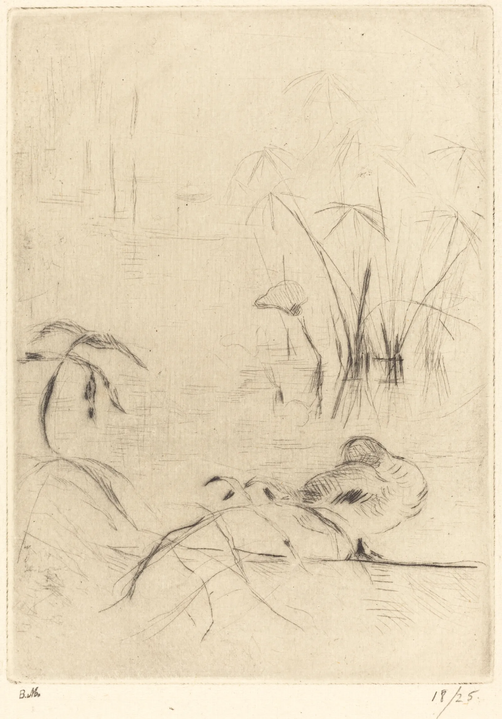 Ducks At Rest On The Bank Wall Art by Berthe Morisot - Canvas Print