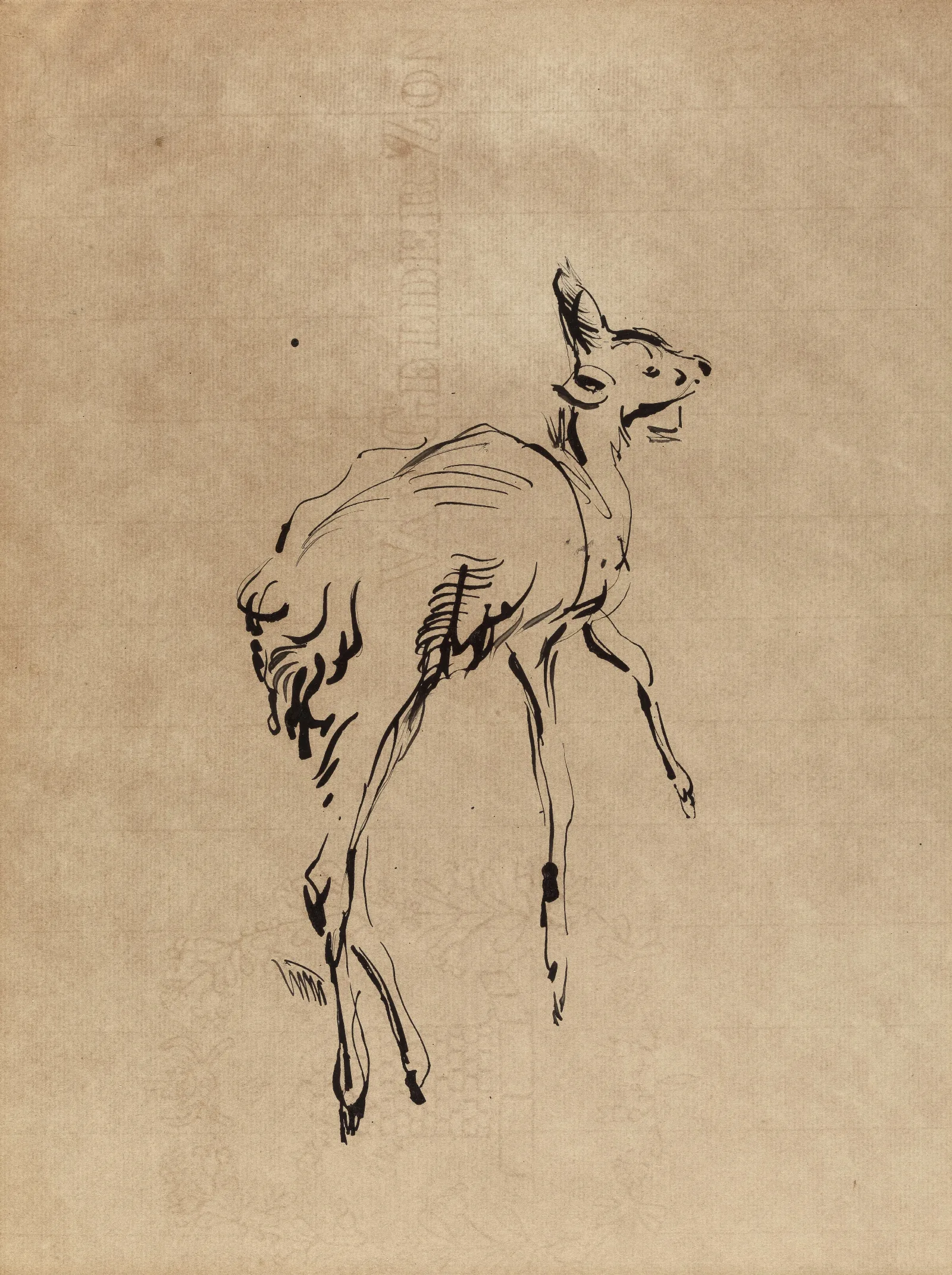 Young Deer 2 Wall Art by Rik Wouters - Canvas Print