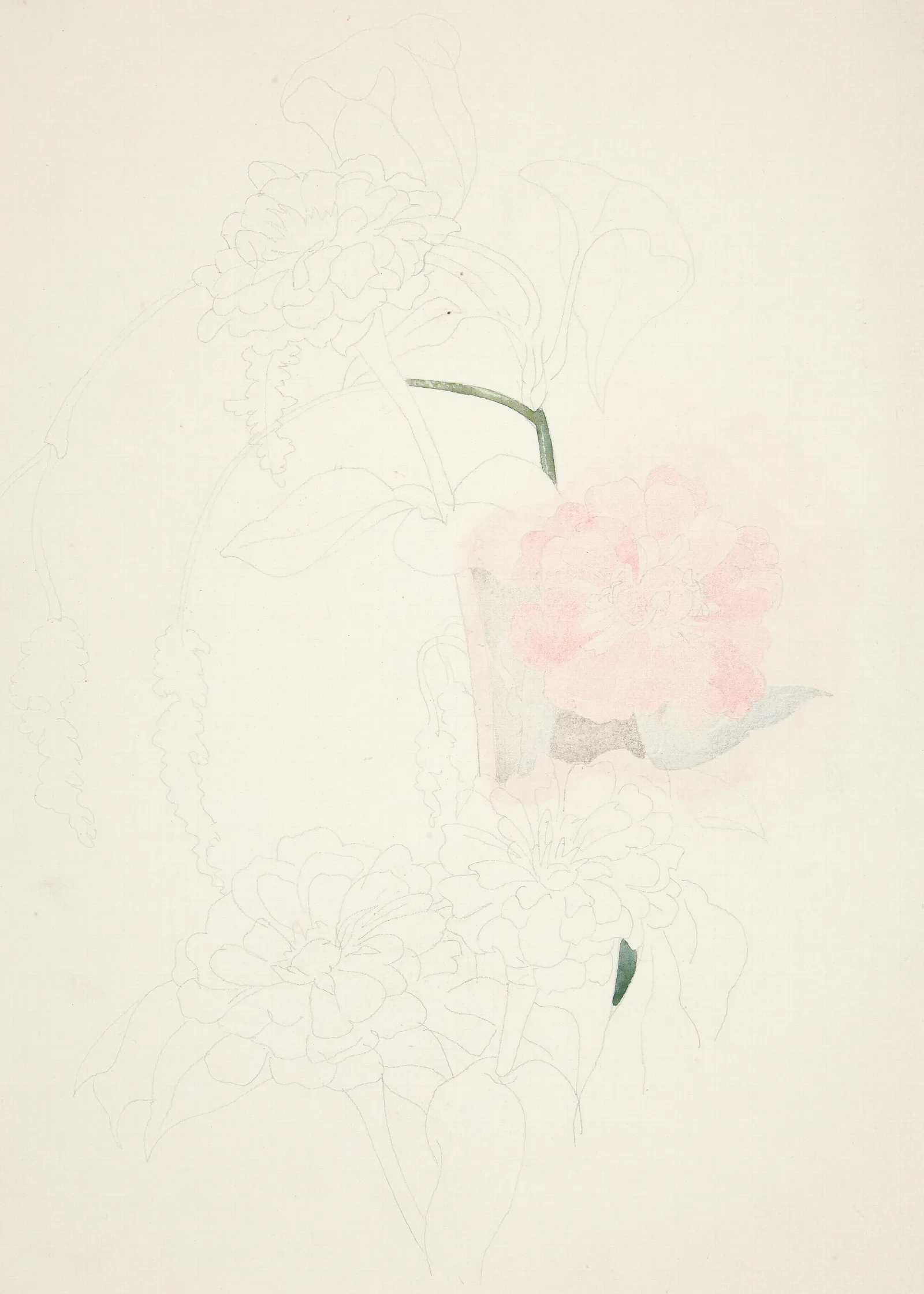 Zinnias 3 Wall Art by Charles Demuth - Canvas Print