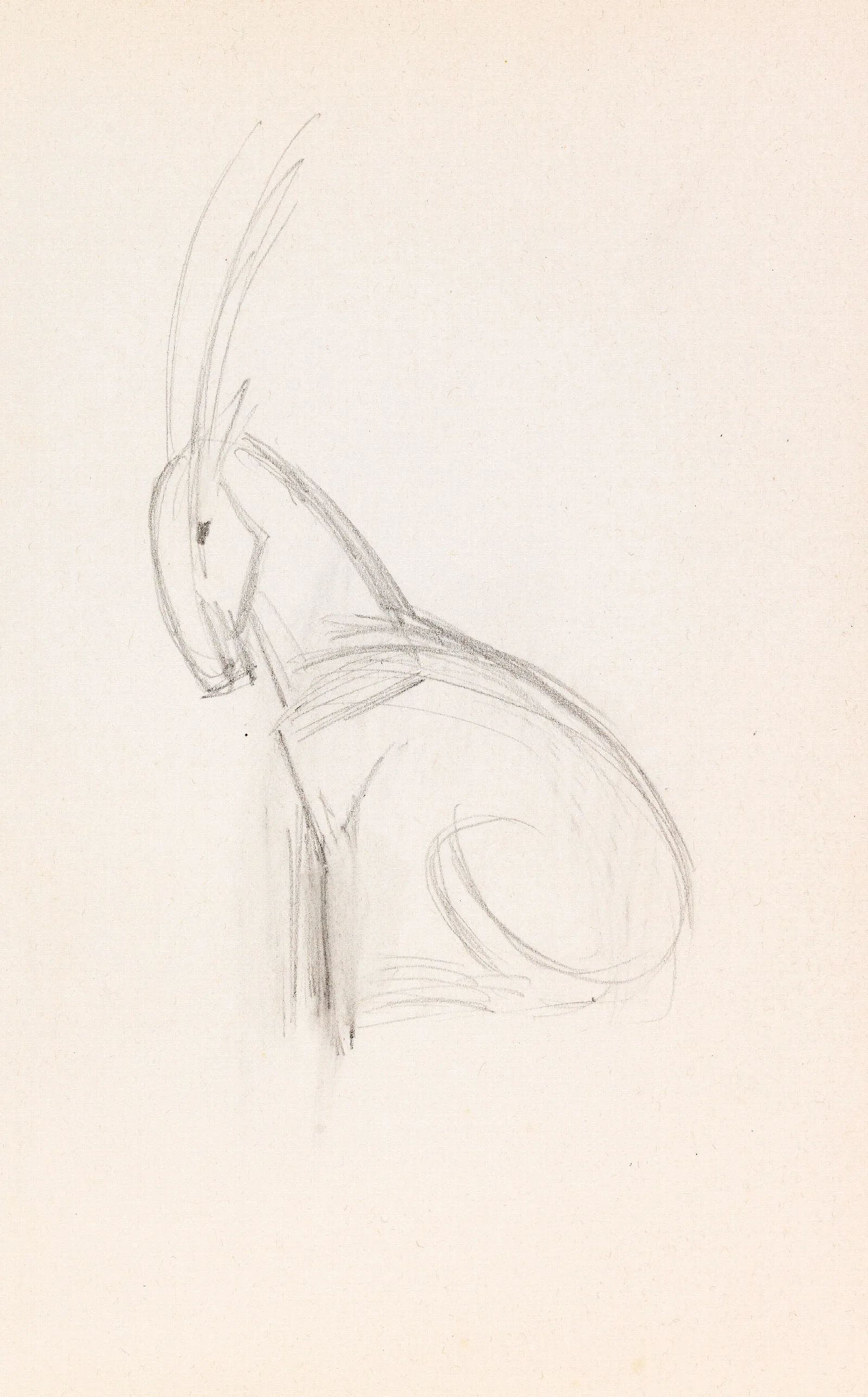 Kleiner Steinbock Wall Art by Franz Marc - Canvas Print