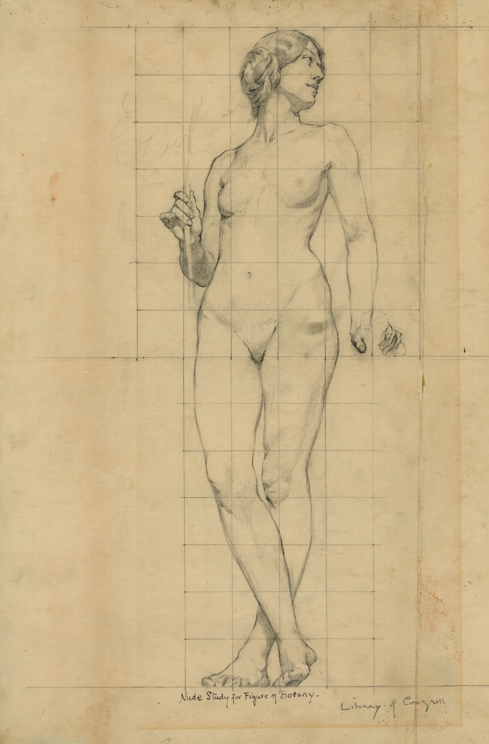 Nude Study For Figure Of Botany Wall Art by Kenyon Cox - Canvas Print