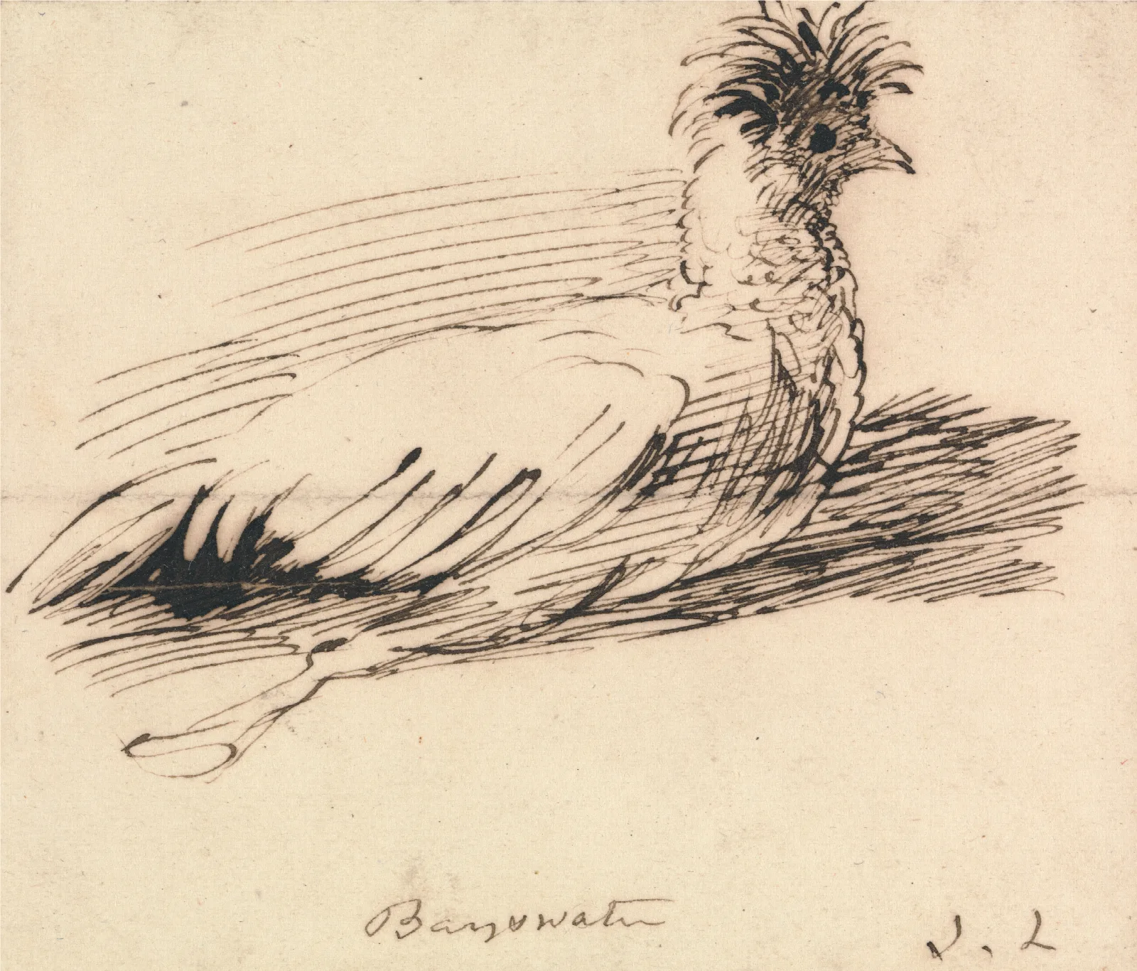 A Hen Wall Art by John Linnell - Canvas Print