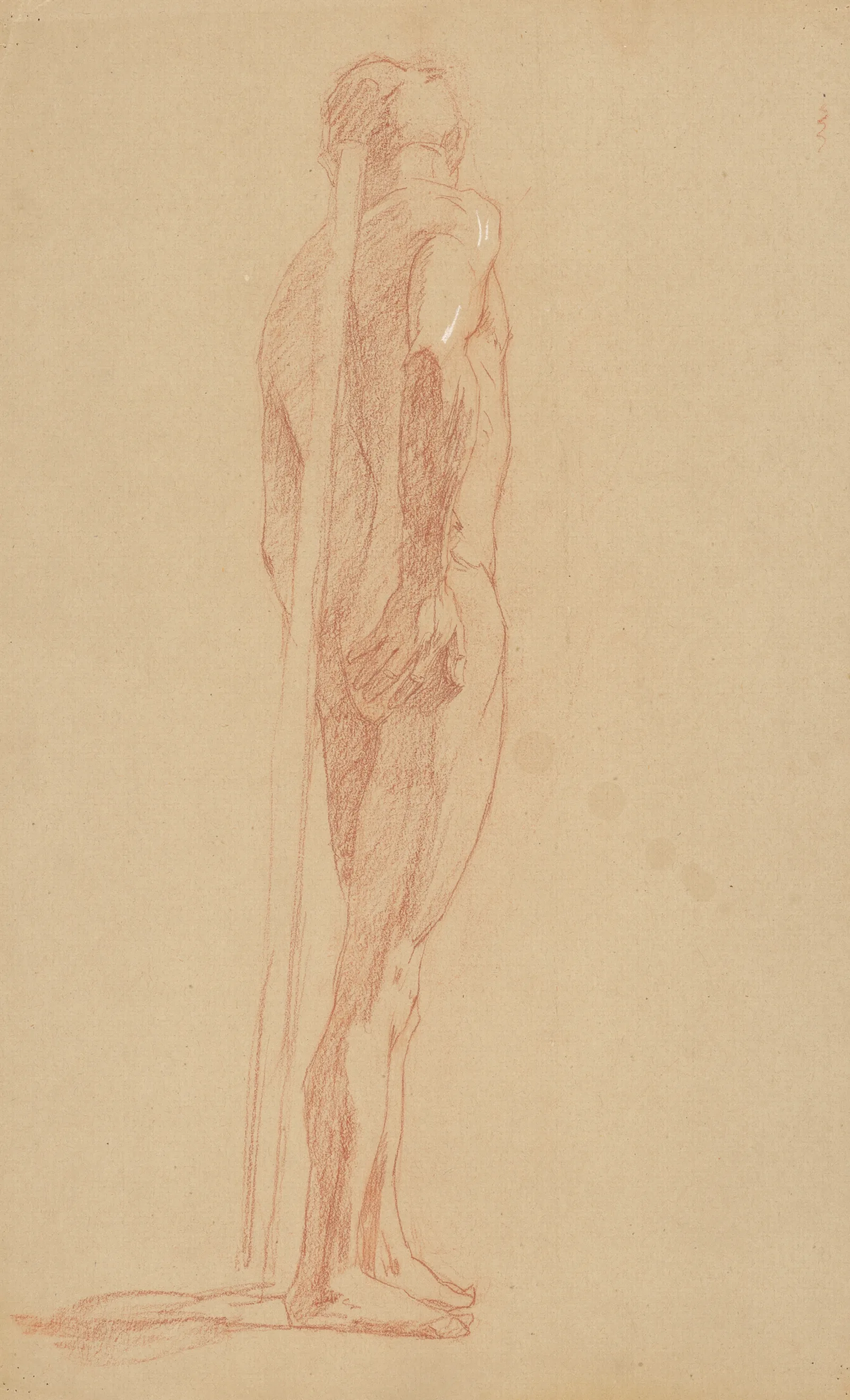 Study Of The Male Nude Wall Art by Jozef Hanula - Canvas Print