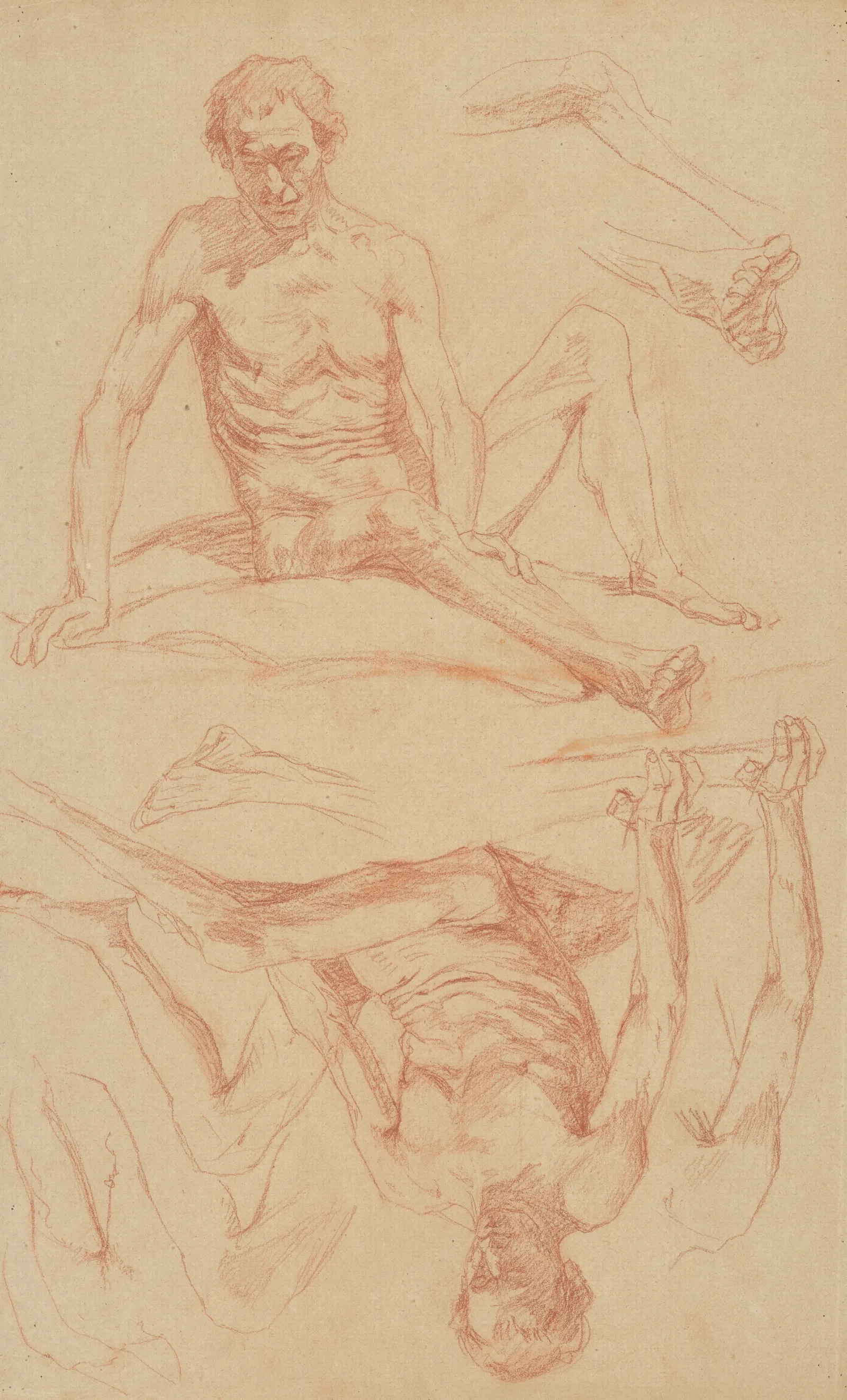 Study Of The Male Nude 3 Wall Art by Jozef Hanula - Canvas Print