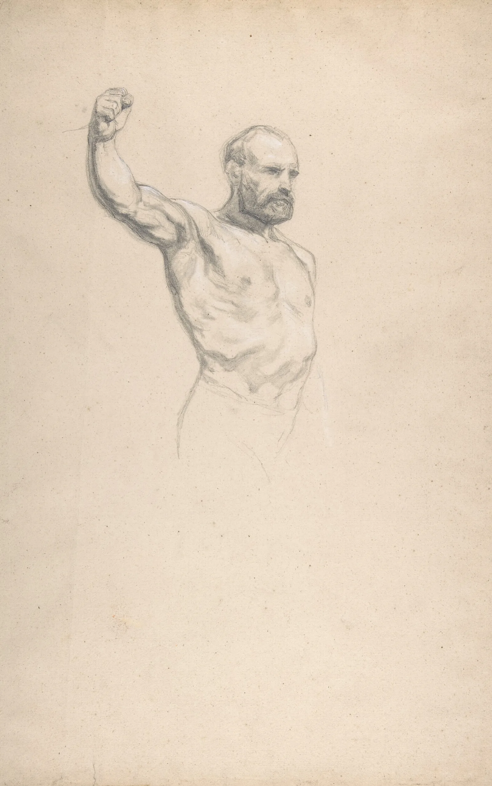 Bearded Bare Chested Male Figure Study For The Horse Fair Wall Art by Rosa Bonheur - Canvas Print