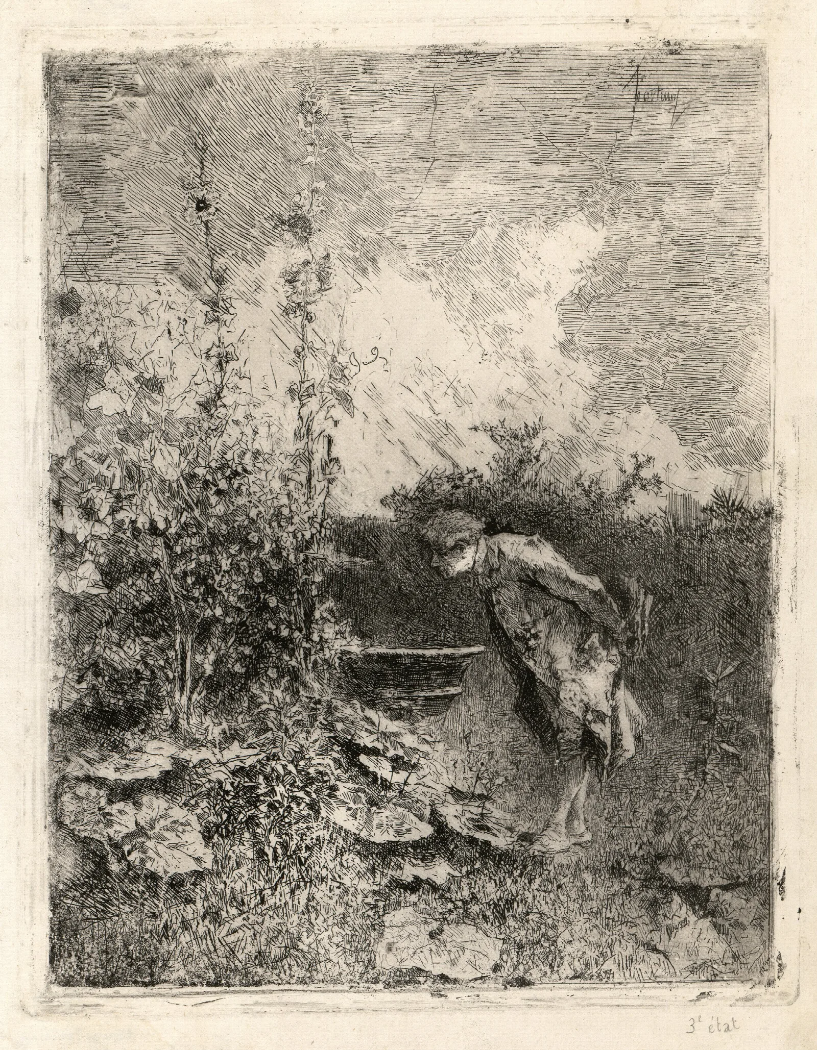 The Botanist Wall Art by Mariano Fortuny Marsal - Canvas Print