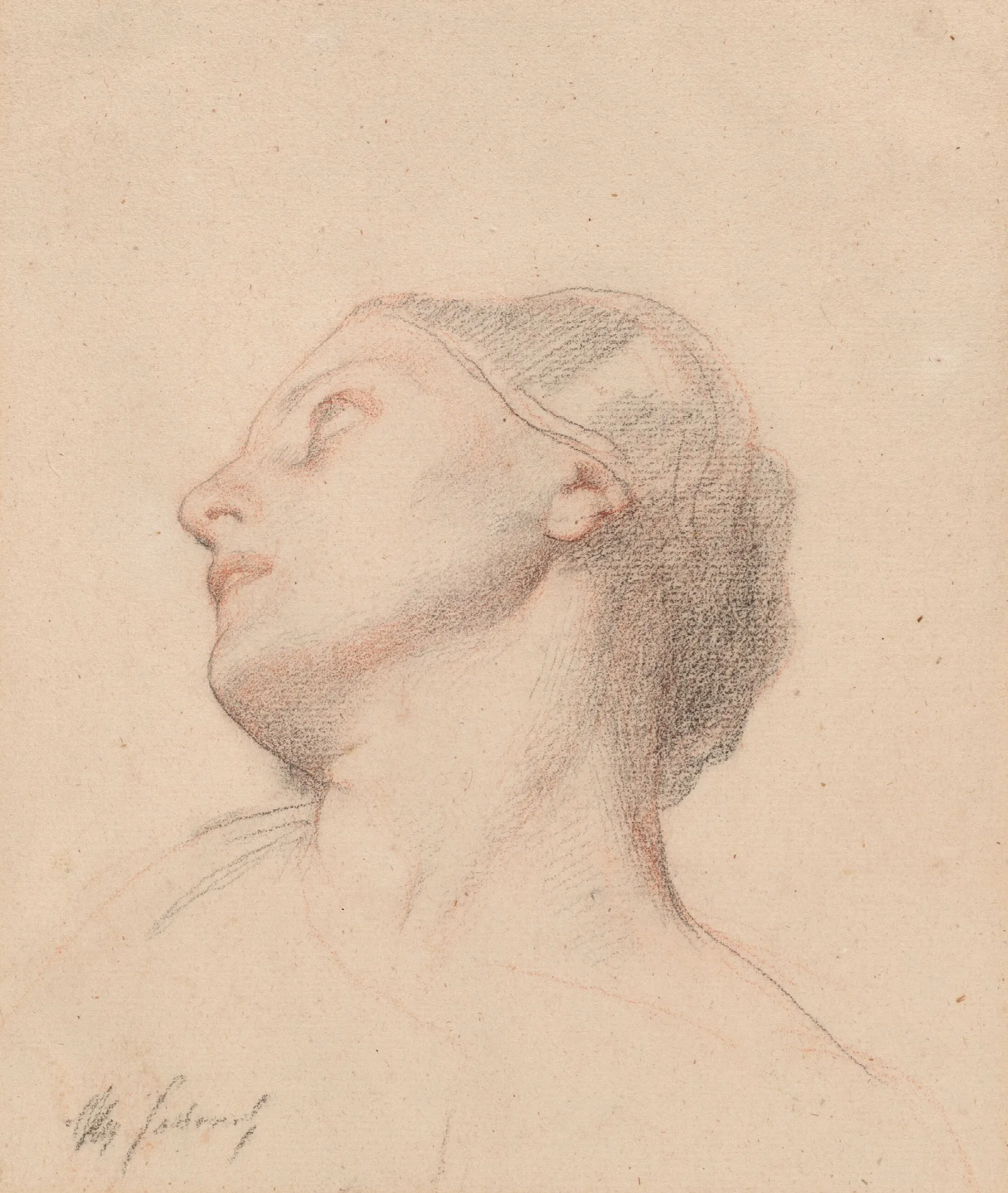Study Of A Womans Head For The Glorification Of St Louis Wall Art by Alexandre Cabanel - Canvas Print