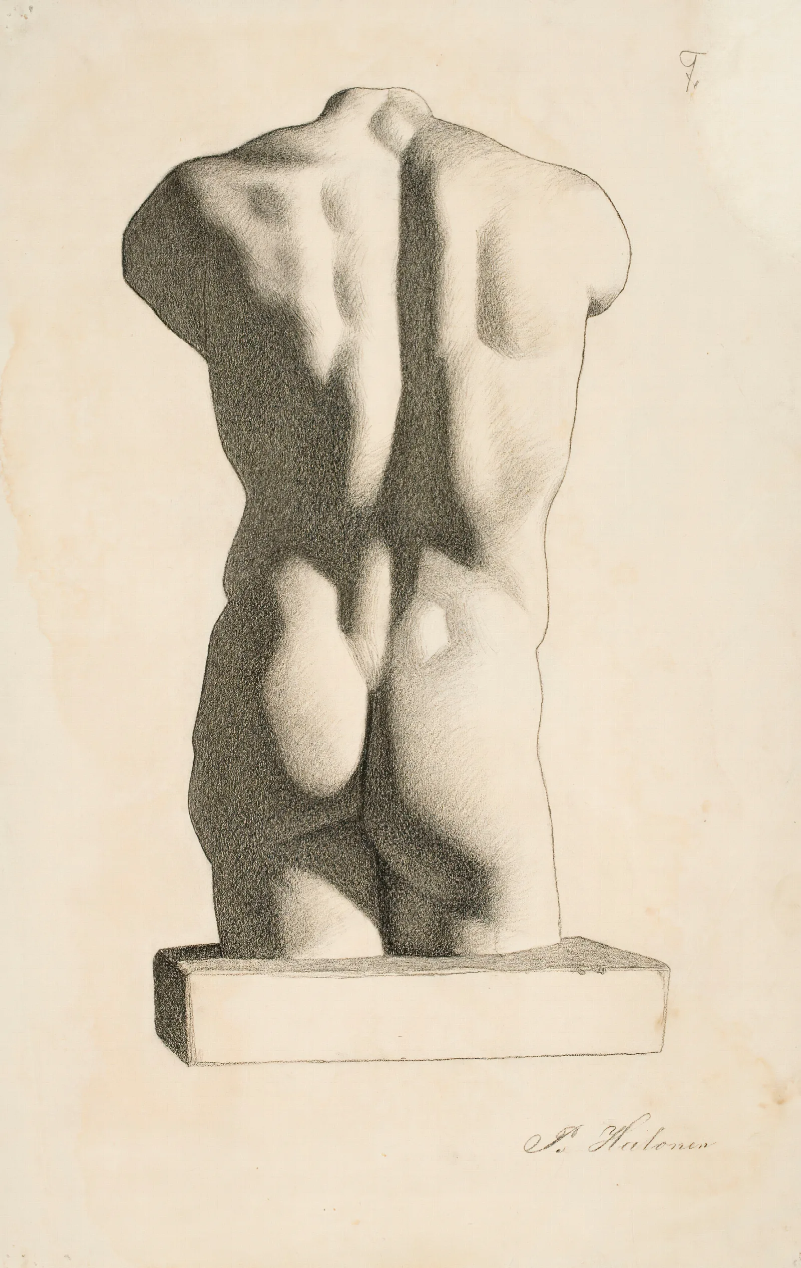 Back Of A Male Torso Wall Art by Pekka Halonen - Canvas Print