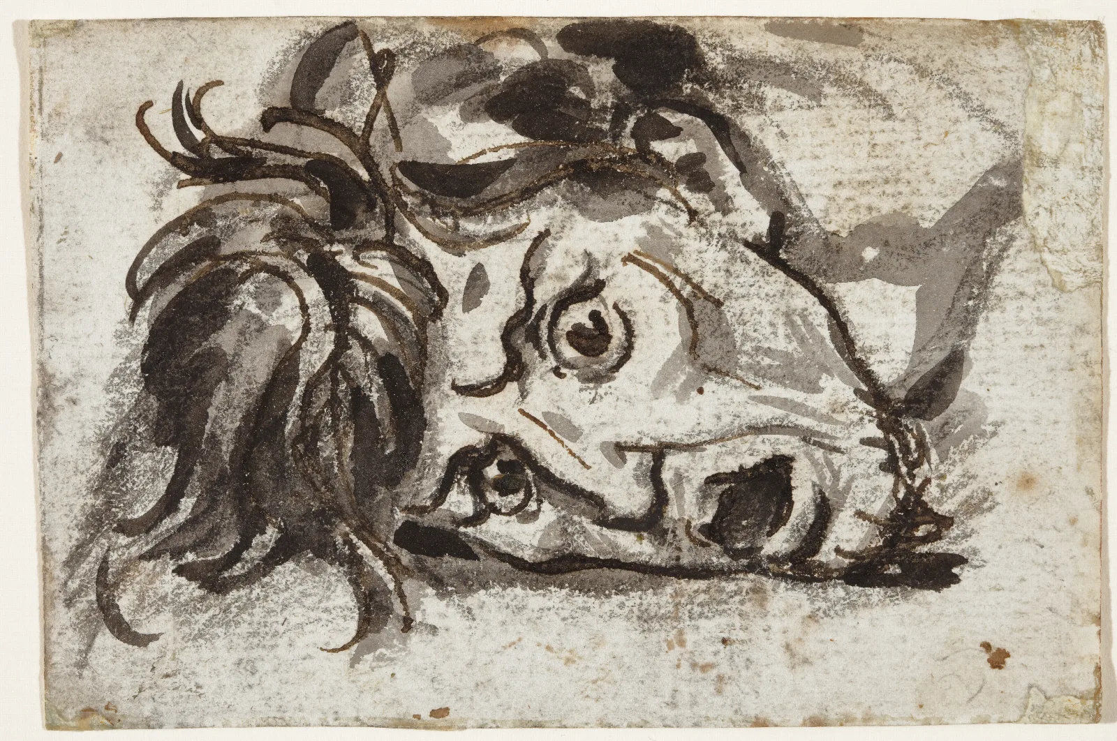 Head Of Man Open Mouthed And Wide Eyed Wall Art by François Gérard - Canvas Print