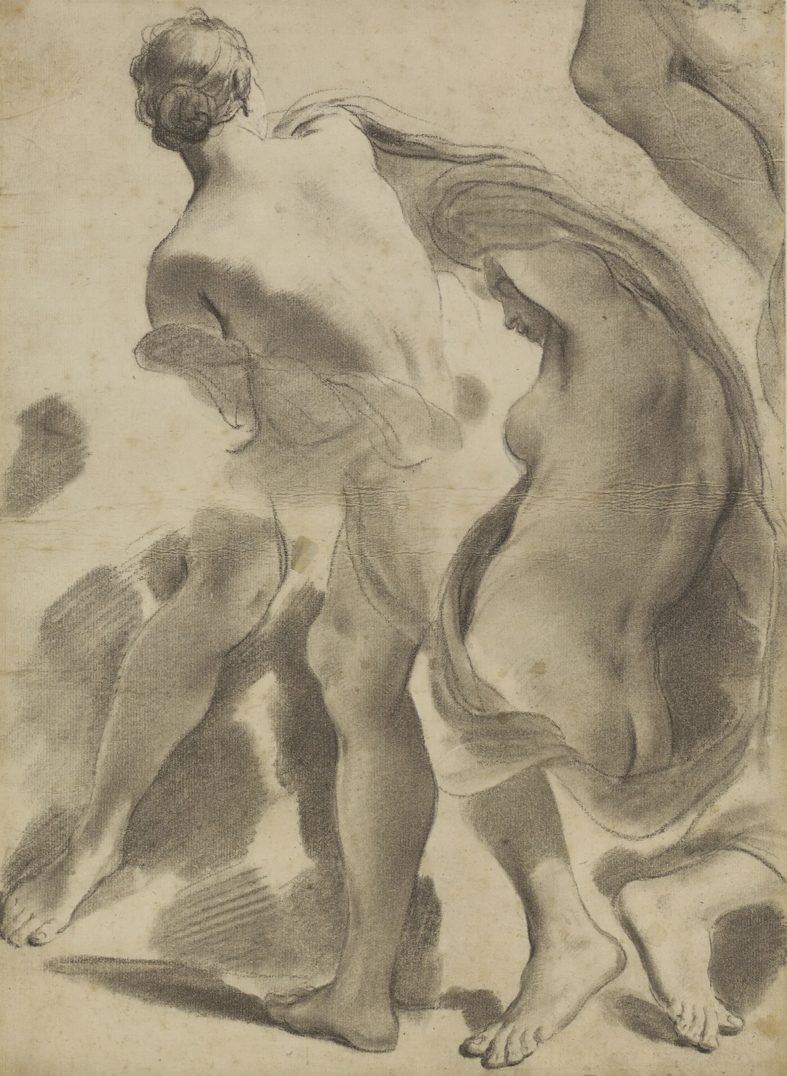 Studies Of Female Nudes 2 Wall Art by Gaetano Gandolfi - Canvas Print