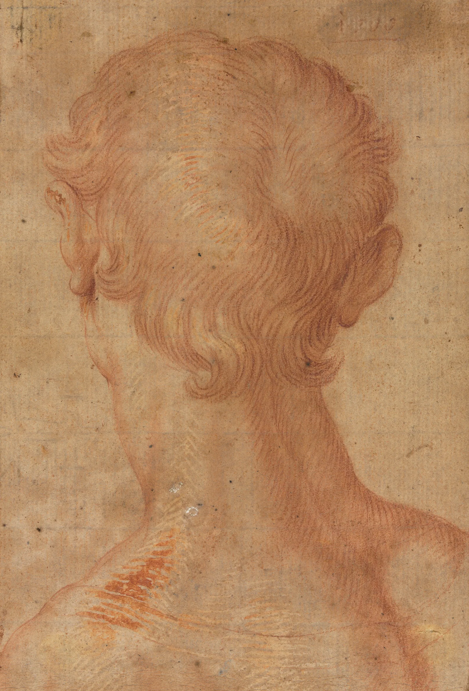 Mans Head From The Back Wall Art by Agnolo Bronzino - Canvas Print