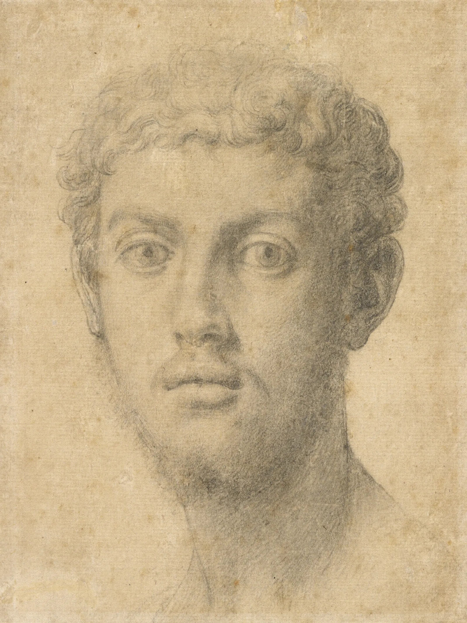 Head Of A Man 27 Wall Art by Agnolo Bronzino - Canvas Print
