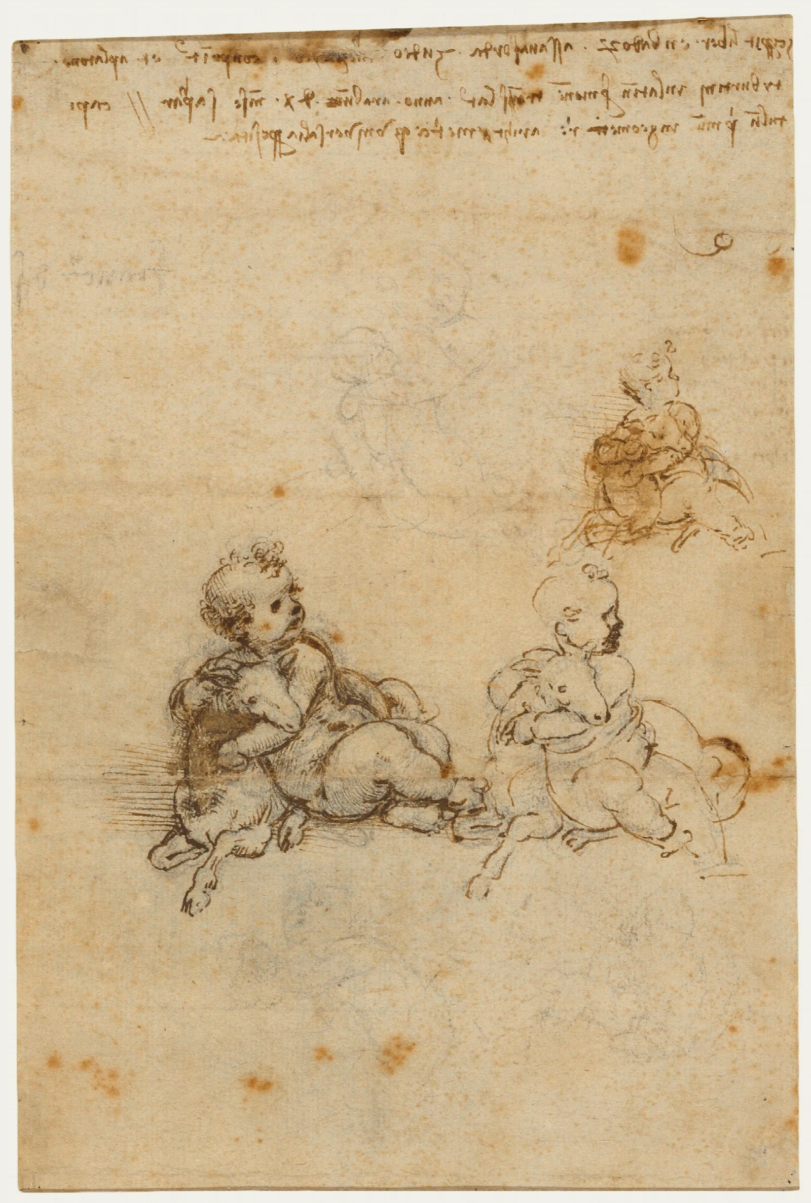 Studies For The Christ Child With A Lamb Wall Art by Leonardo da Vinci - Canvas Print