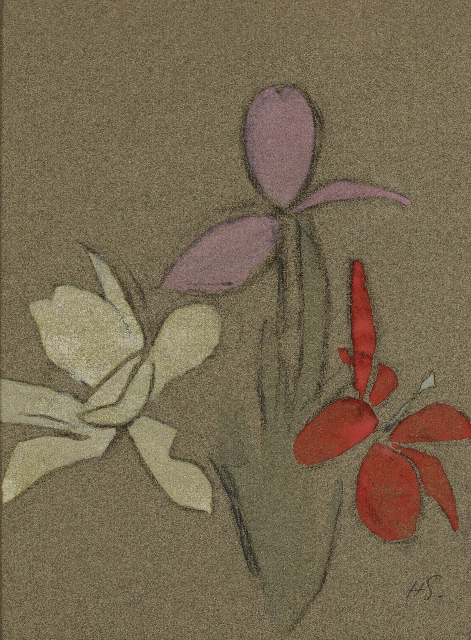 Small Lilies Wall Art by Helene Schjerfbeck - Canvas Print