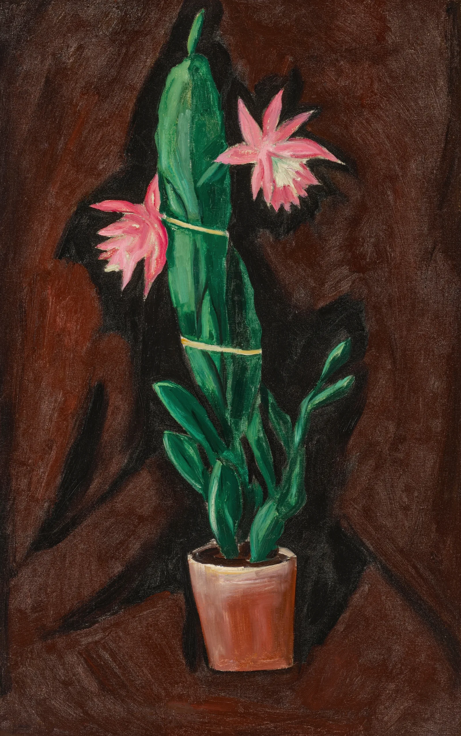 Cerise Cactus Wall Art by Marsden Hartley - Canvas Print