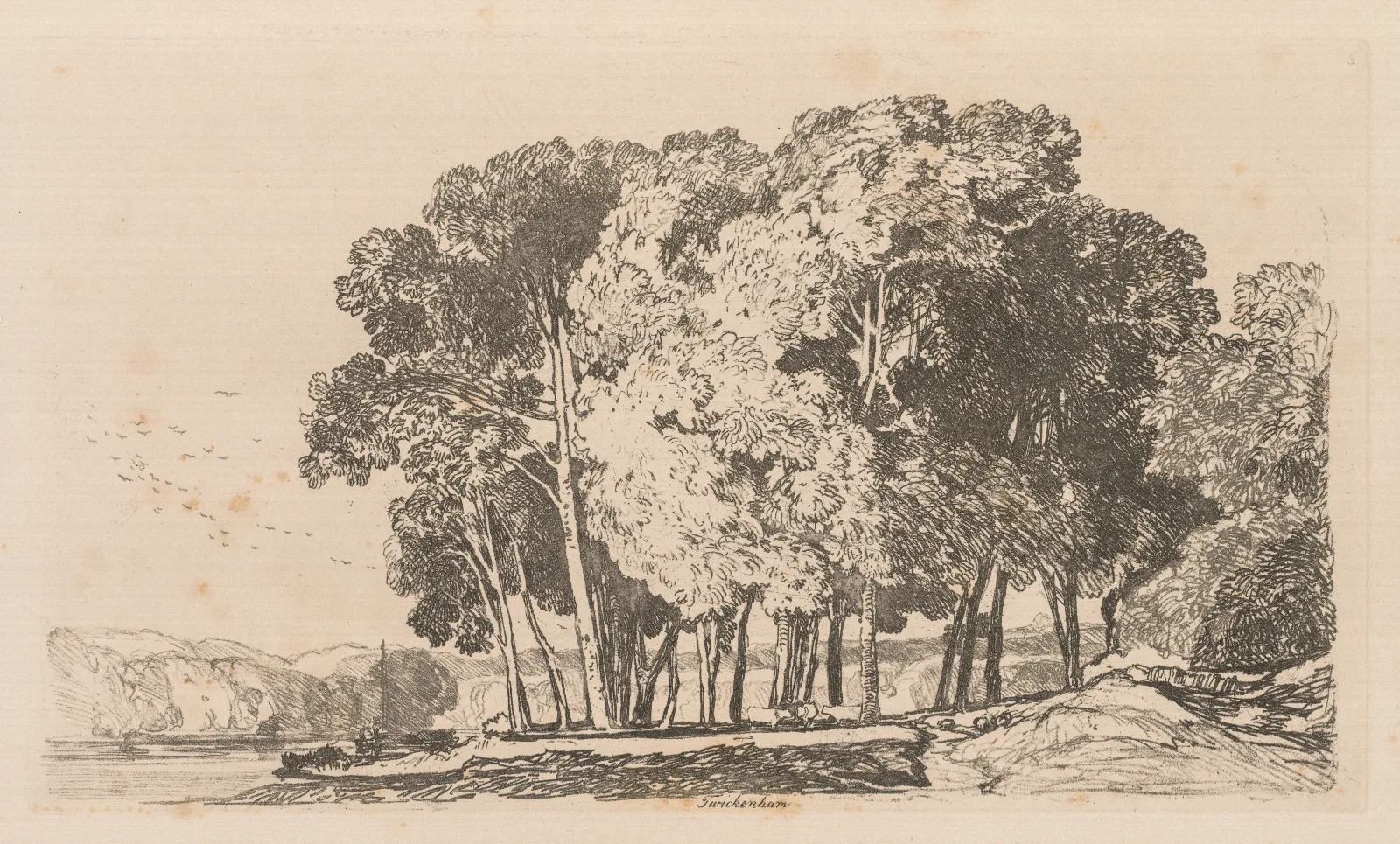 Trees Near Twickenham Wall Art by John Sell Cotman - Canvas Print
