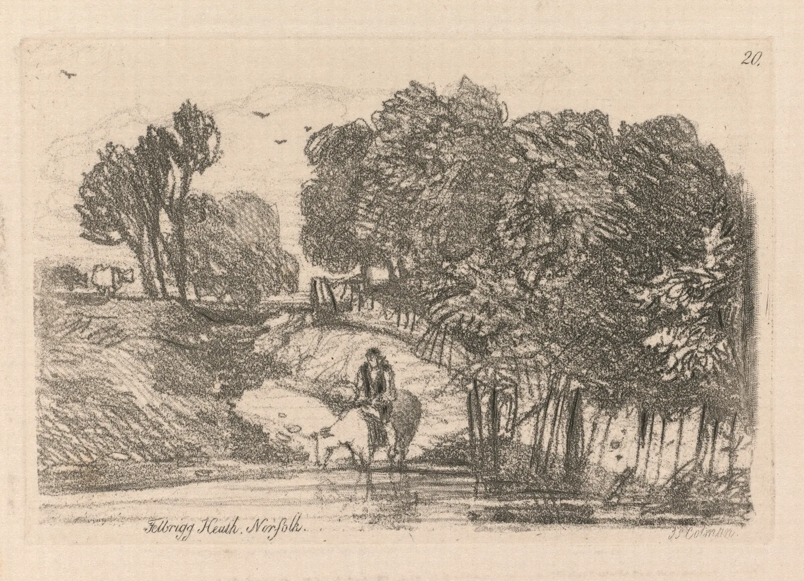 Felbrigg Heath Norfolk Wall Art by John Sell Cotman - Canvas Print