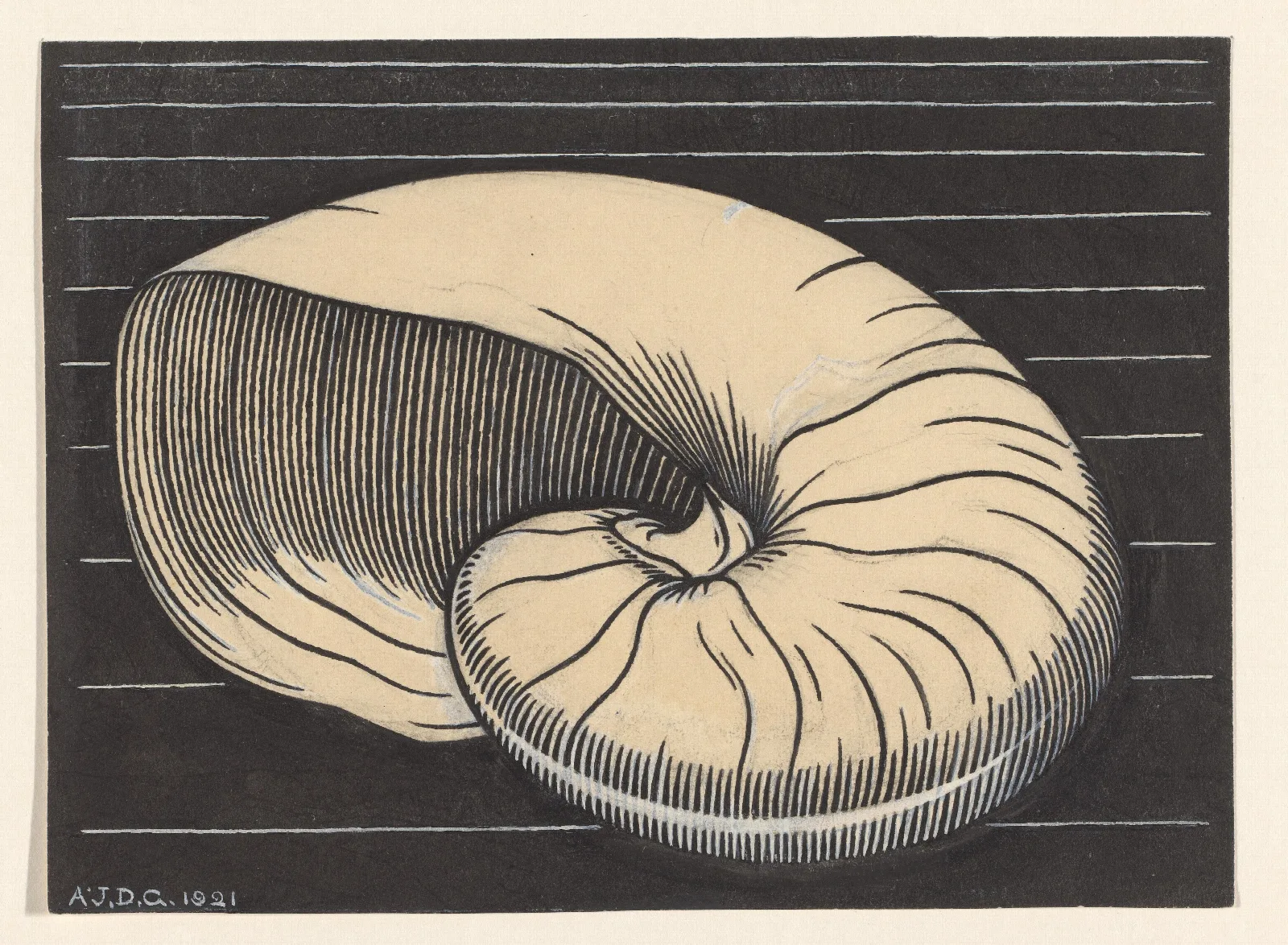 Nautilus Shell Wall Art by Julie de Graag - Canvas Print