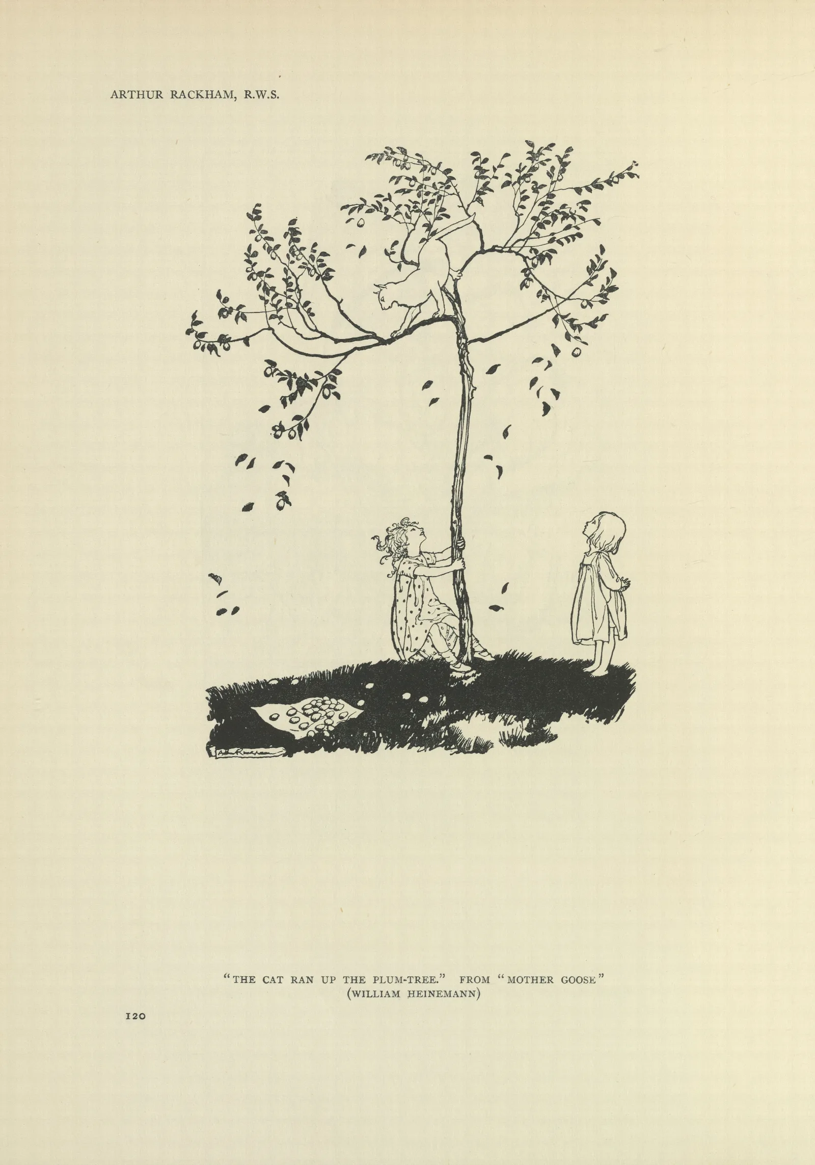 The Cat Ran Up The Plum Tree Mother Goose Wall Art by Arthur Rackham - Canvas Print