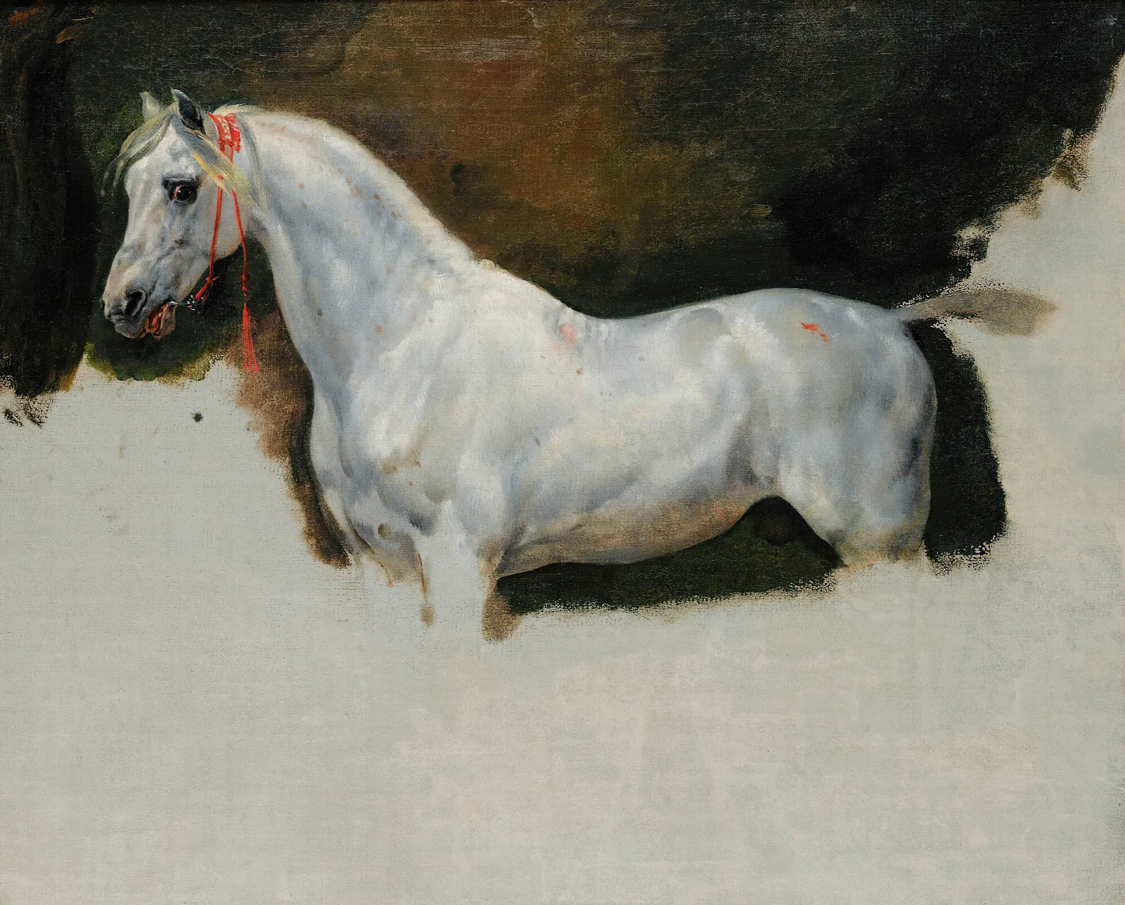 Study Of A White Horse Wall Art by Horace Vernet - Canvas Print