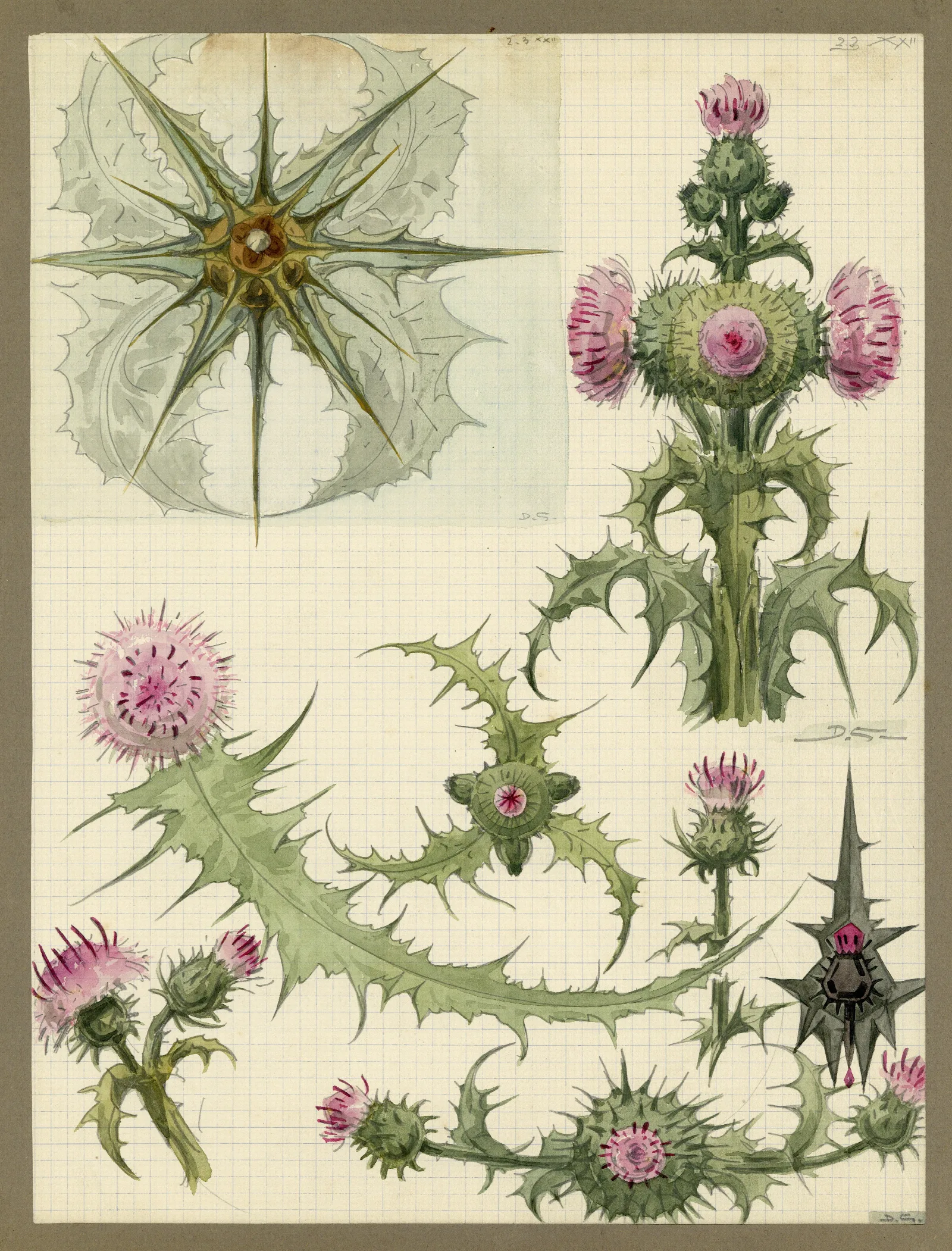 De Distel 3 Wall Art by Alfred Ost - Canvas Print
