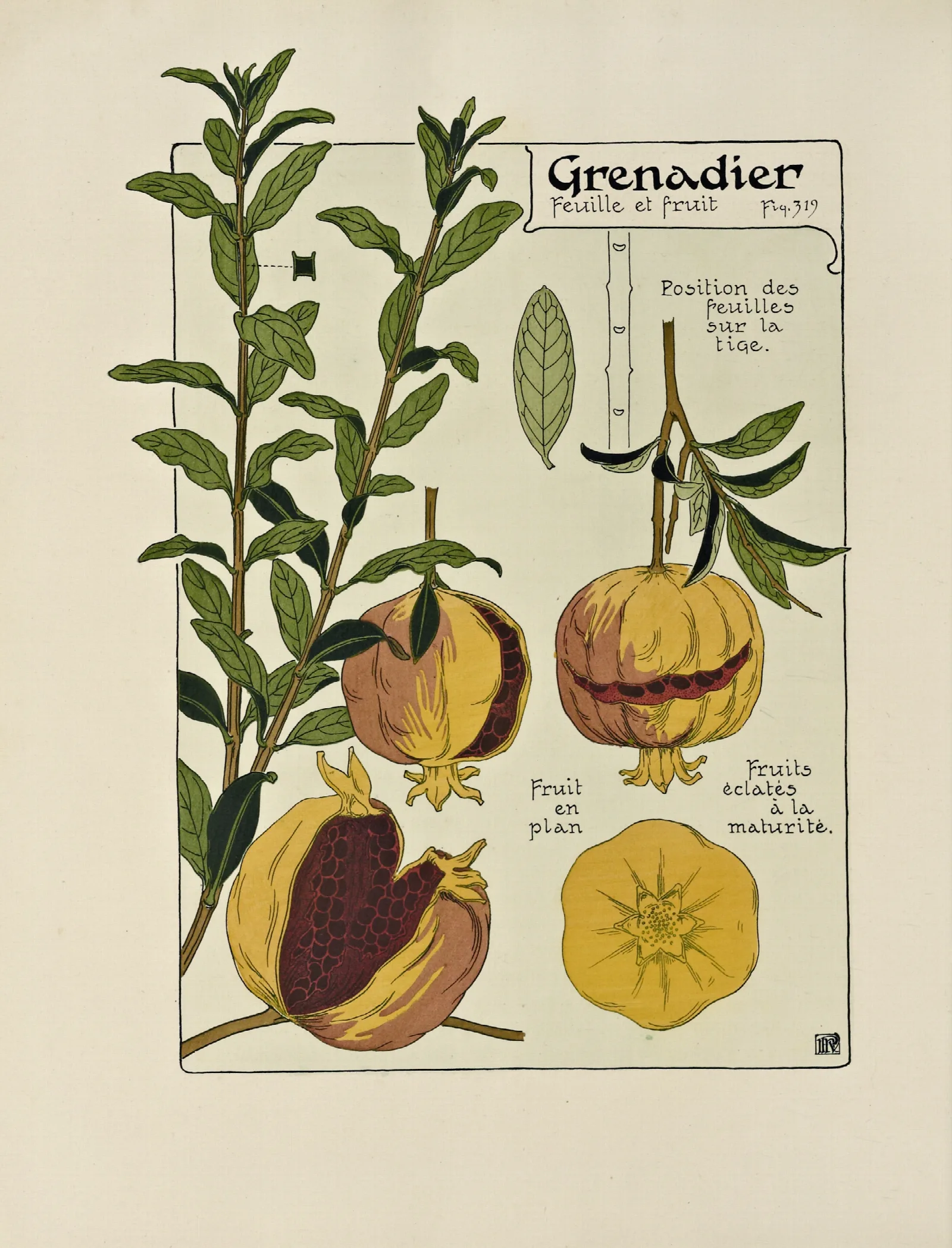 Grenadier 3 Wall Art by Maurice Pillard Verneuil - Canvas Print