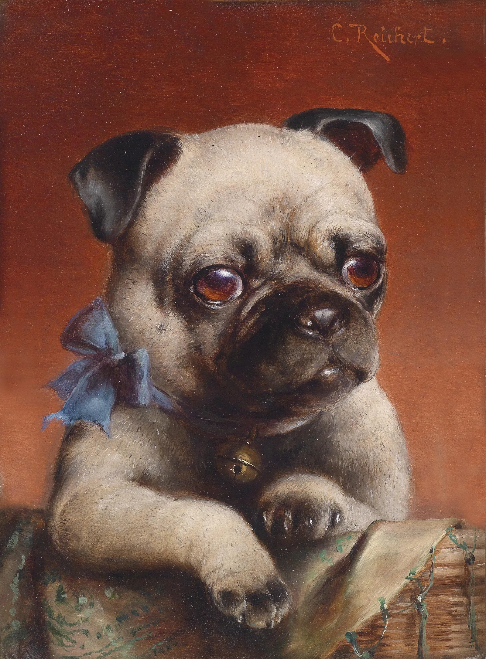 Junger Mops Wall Art by Carl Reichert - Canvas Print