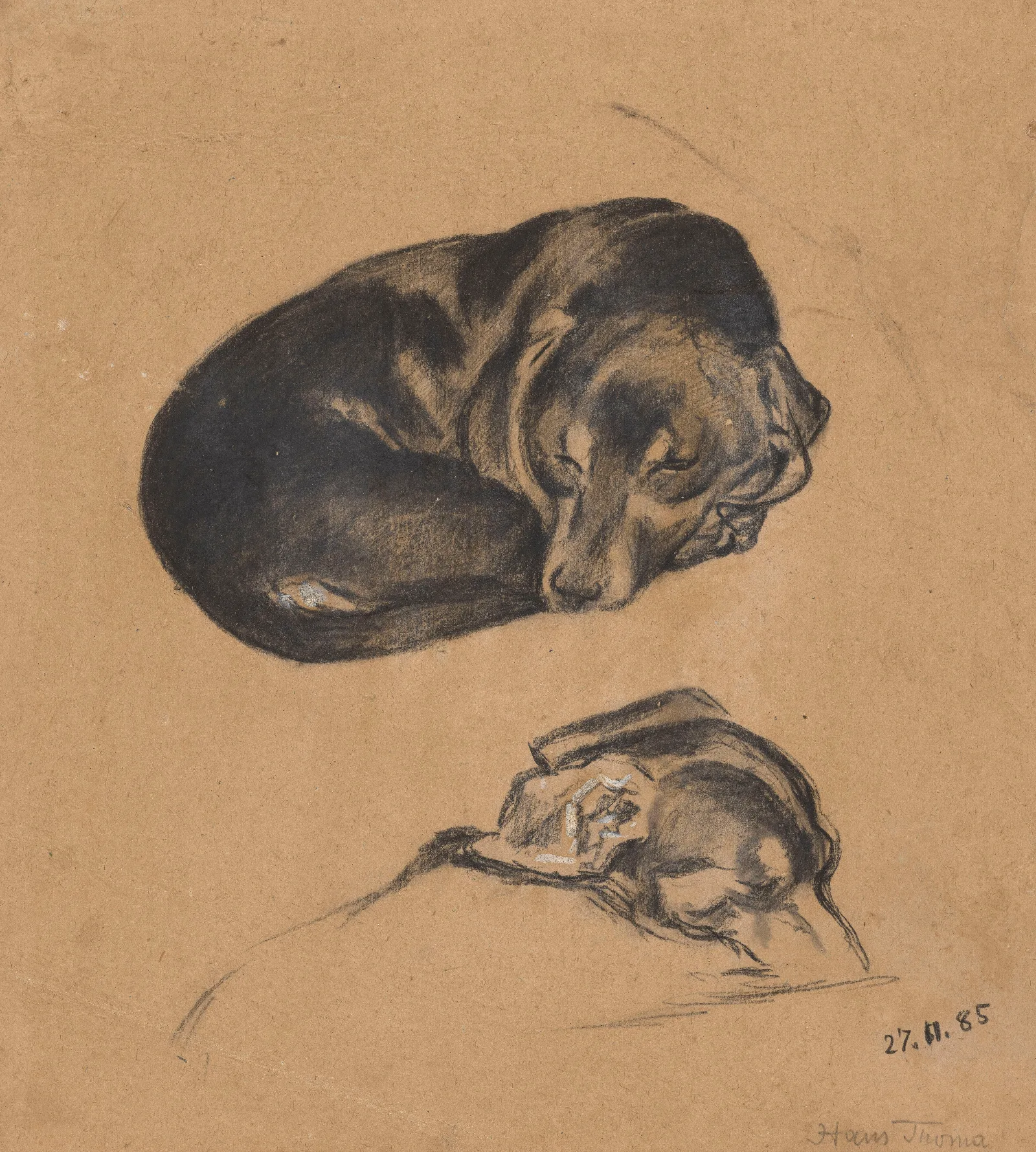 Two Studies Of A Sleeping Dachshund Wall Art by Hans Thoma - Canvas Print