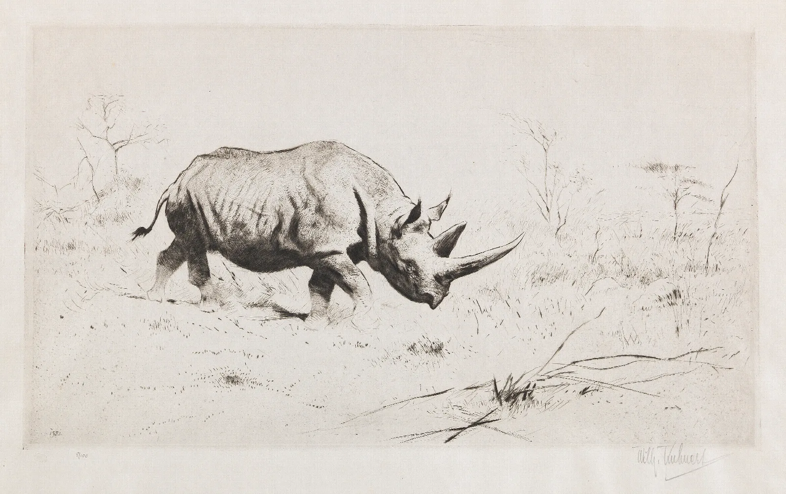 African Rhinoceros Wall Art by Wilhelm Kuhnert - Canvas Print
