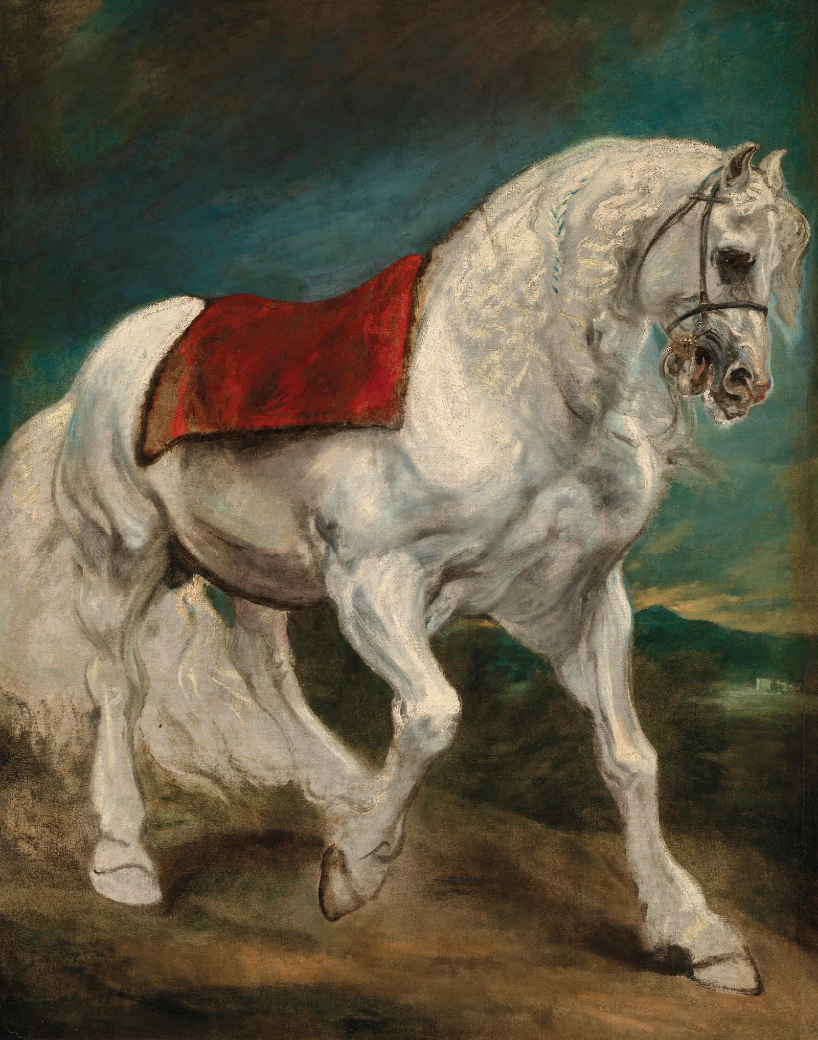 An Andalusian Horse Wall Art by Anthony van Dyck - Canvas Print