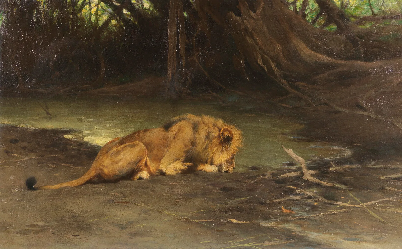 Lowe An Der Tranke Wall Art by Wilhelm Kuhnert - Canvas Print