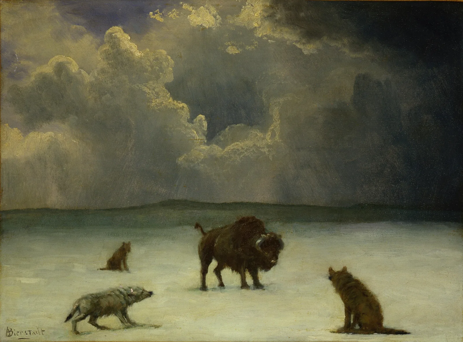 Trapped 2 Wall Art by Albert Bierstadt - Canvas Print