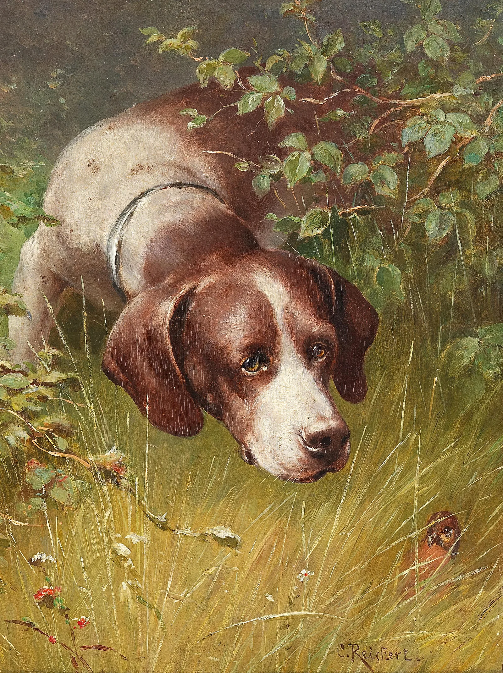 A Little Friend Wall Art by Carl Reichert - Canvas Print