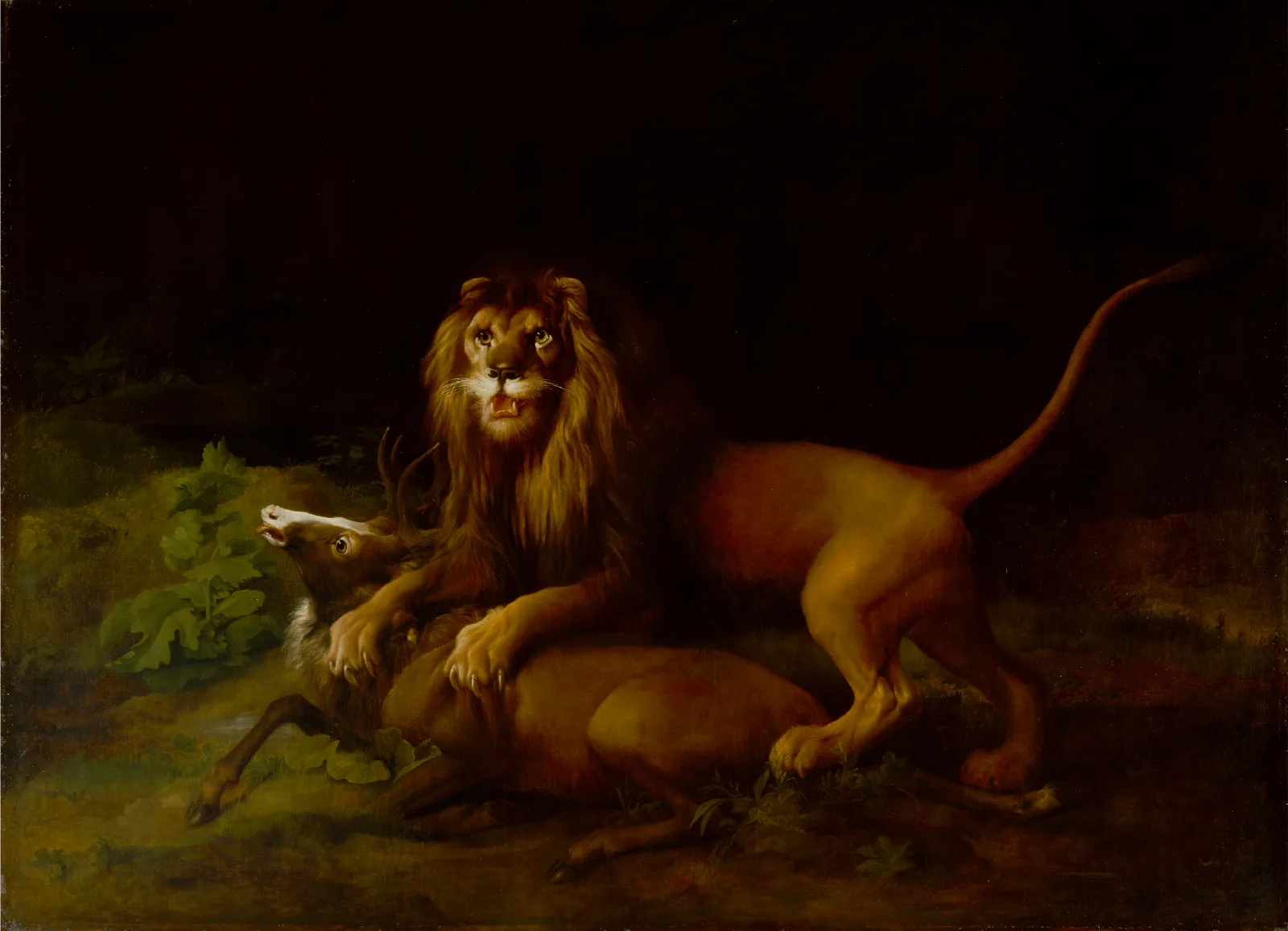 A Lion Attacking A Stag Wall Art by George Stubbs - Canvas Print