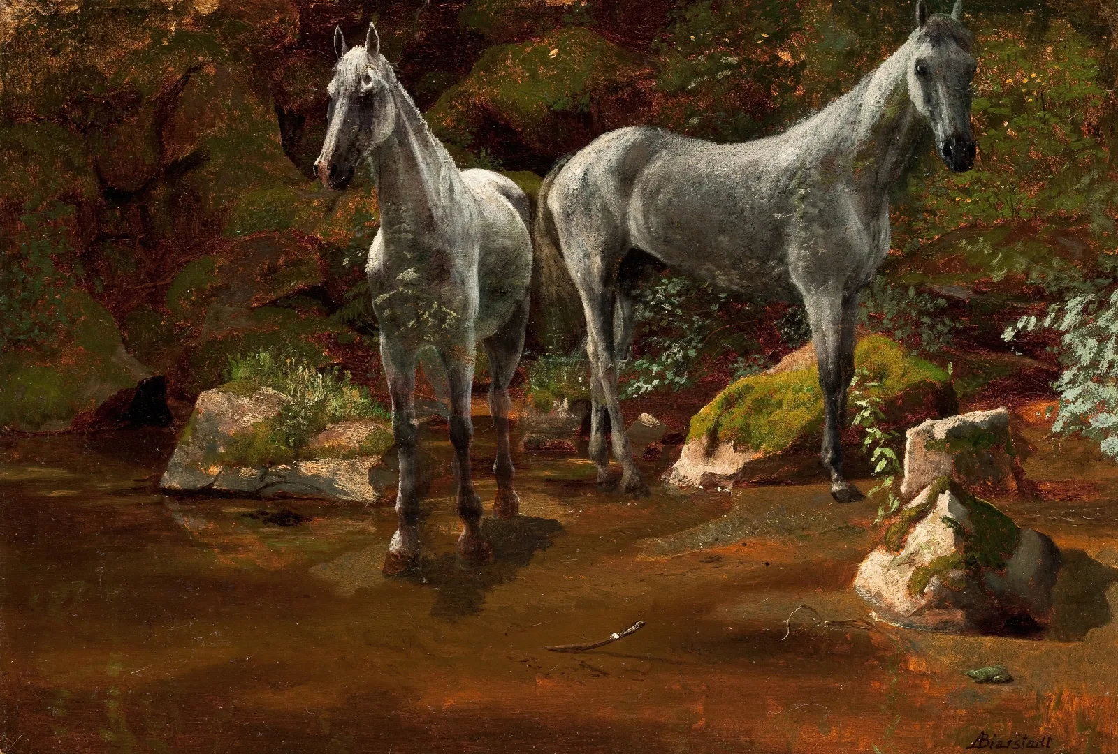 Study Of Wild Horses Wall Art by Albert Bierstadt - Canvas Print