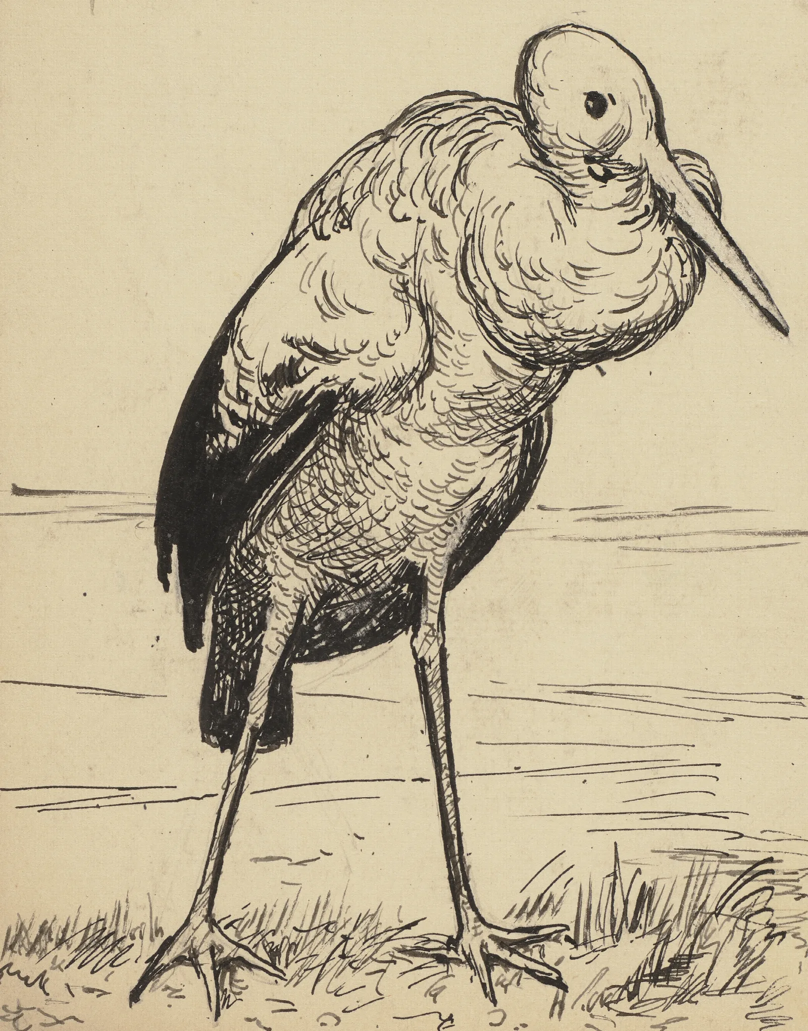Storch 2 Wall Art by Hans Thoma - Canvas Print