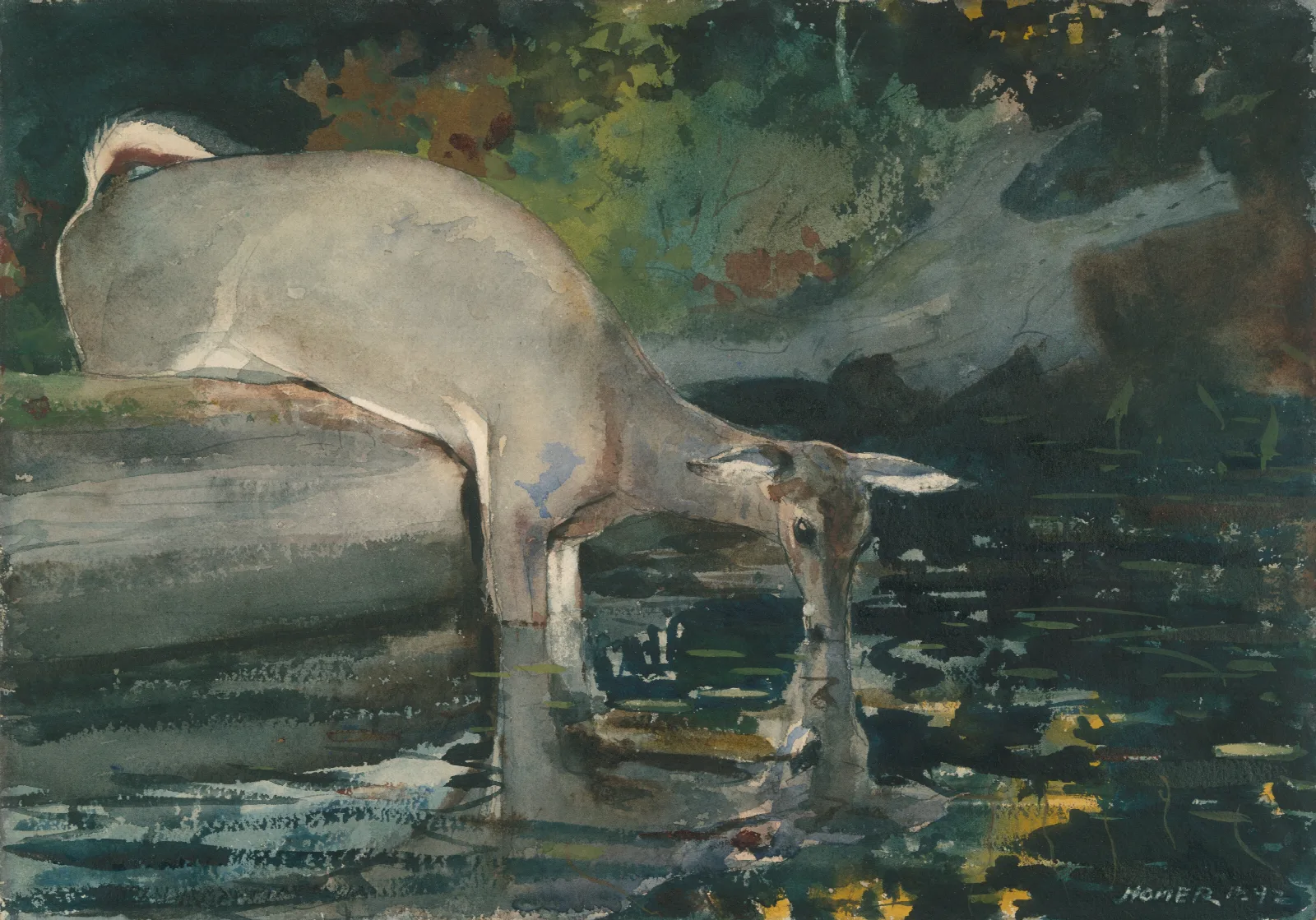 Deer Drinking Wall Art by Winslow Homer - Canvas Print