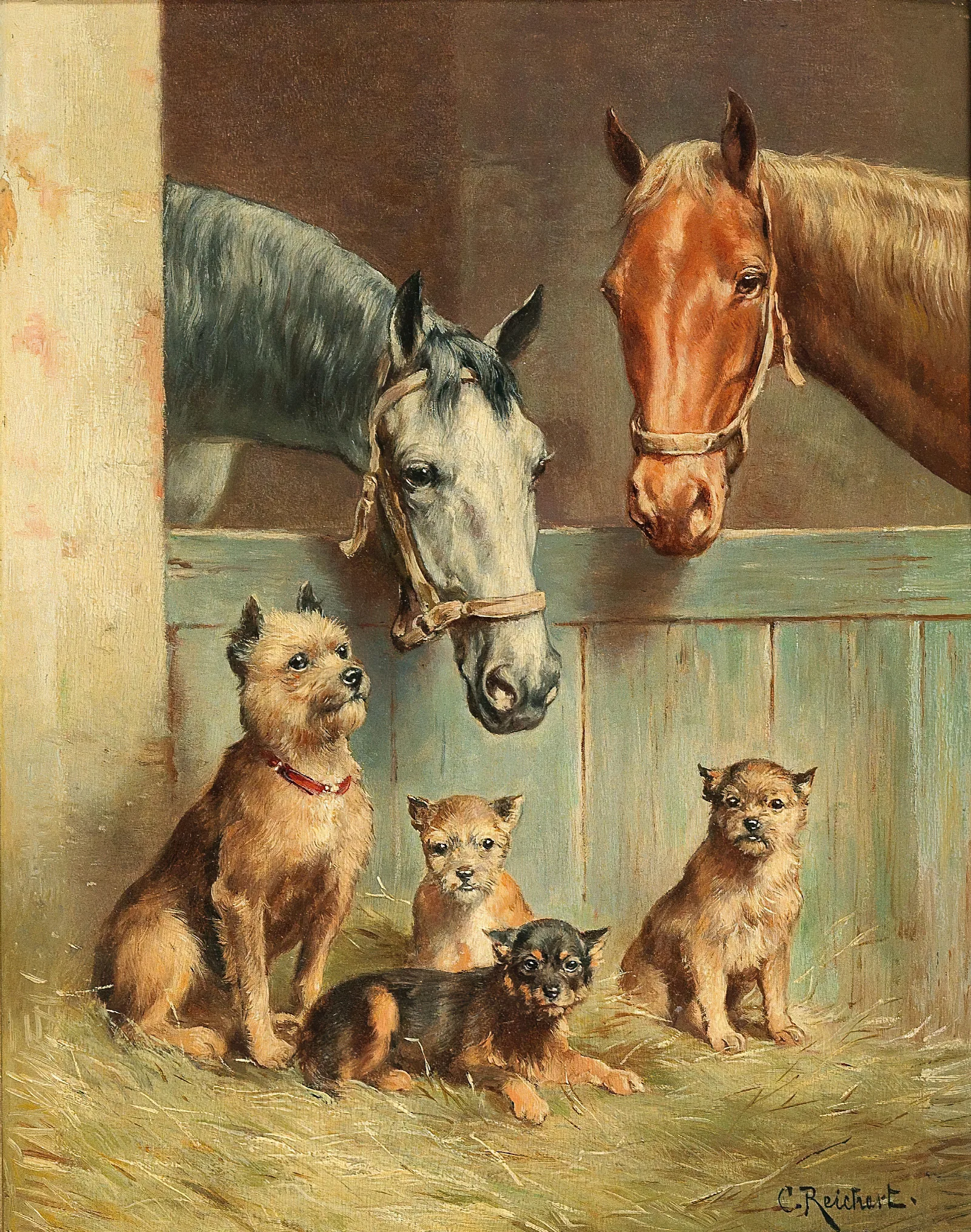 Animal Friendship Wall Art by Carl Reichert - Canvas Print