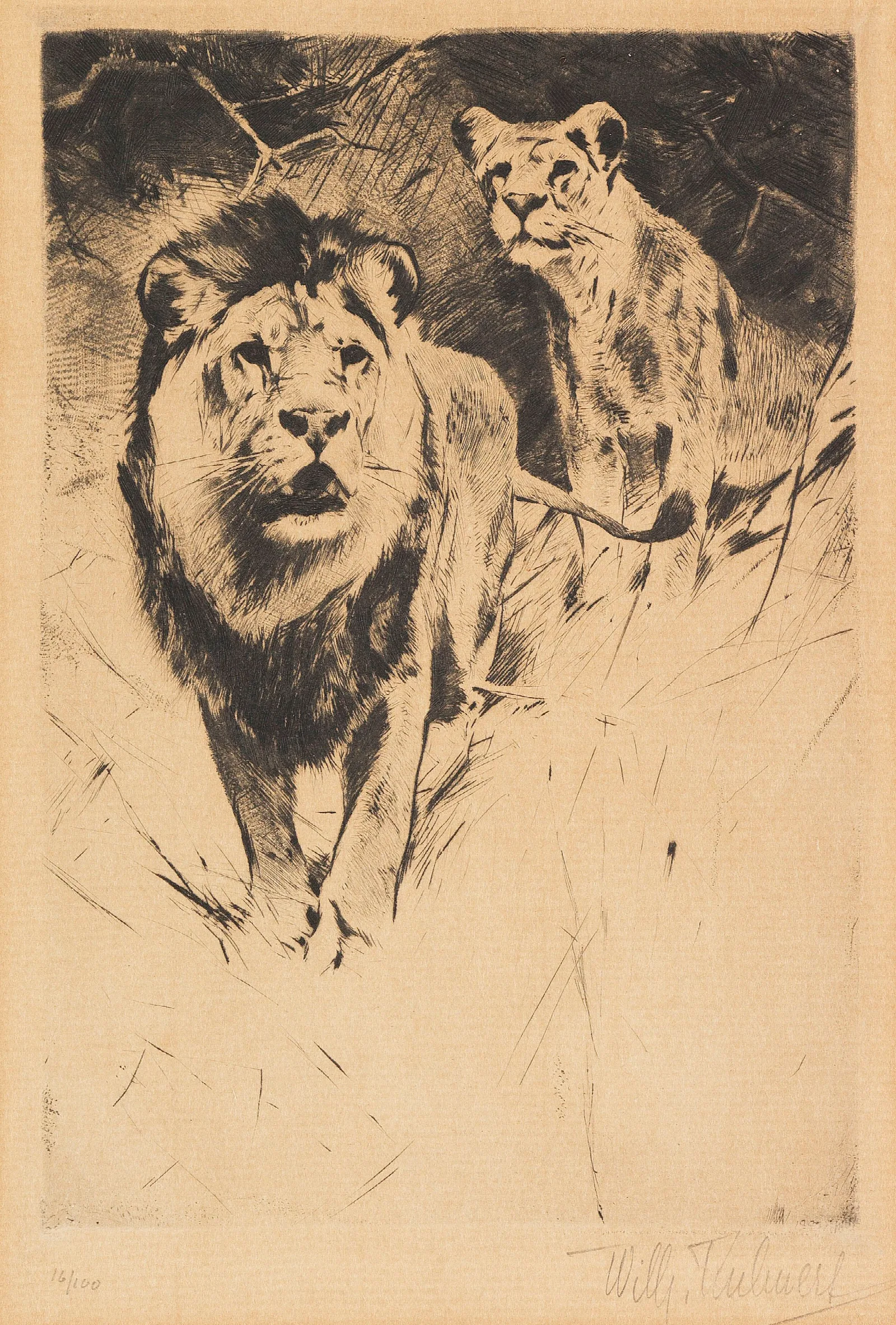 Lion And Lioness 3 Wall Art by Wilhelm Kuhnert - Canvas Print