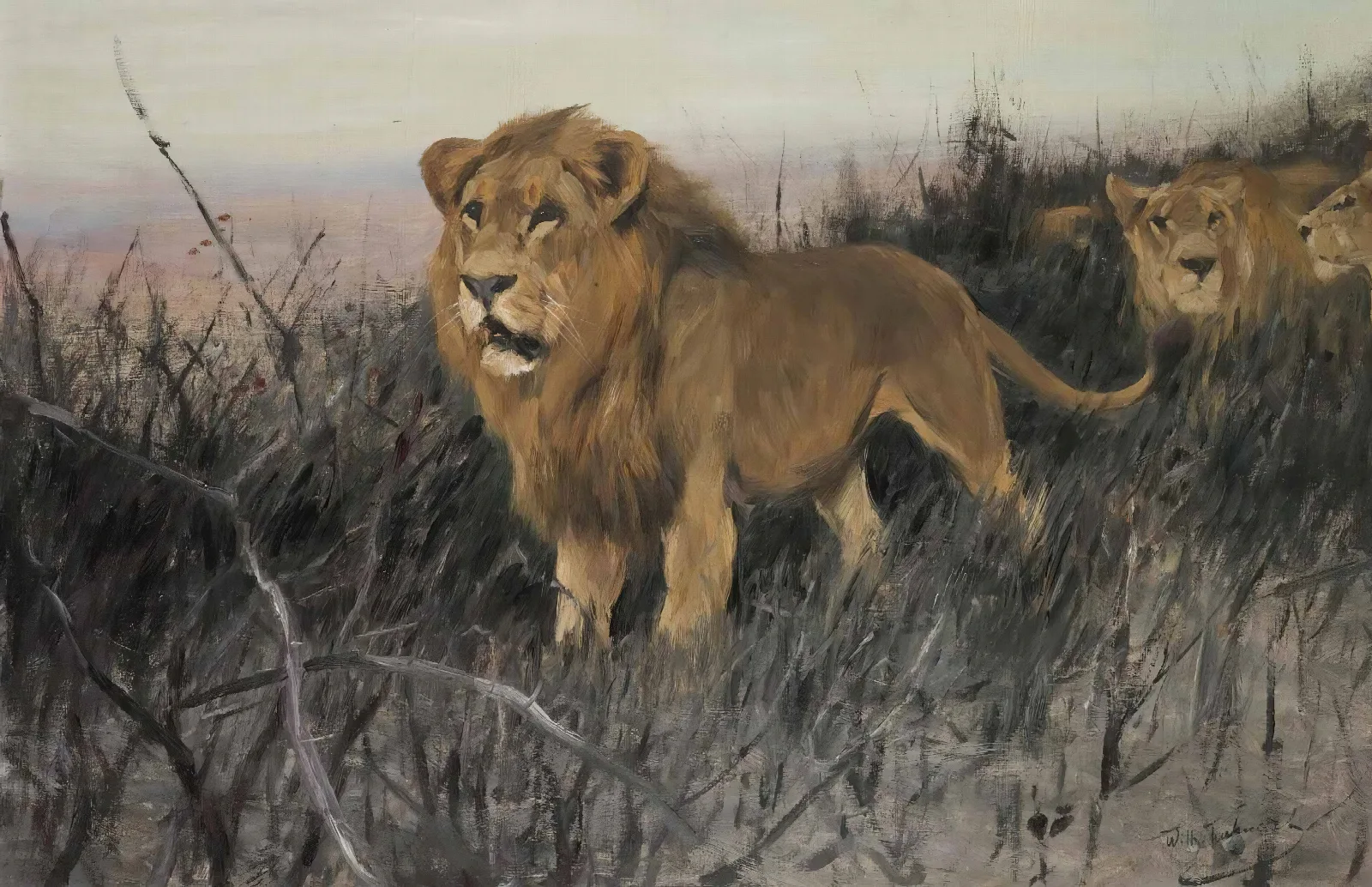 Lowen In Verbrannter Steppe Lions In A Burnt Steppe Wall Art by Wilhelm Kuhnert - Canvas Print