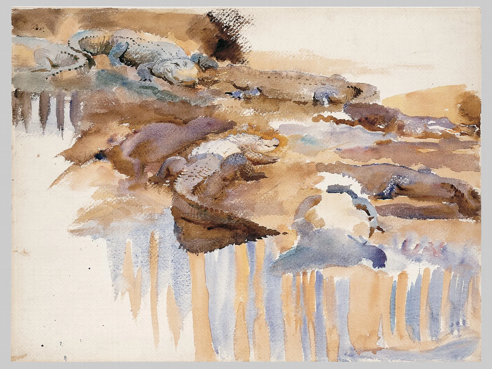 Alligators Wall Art by John Singer Sargent - Canvas Print